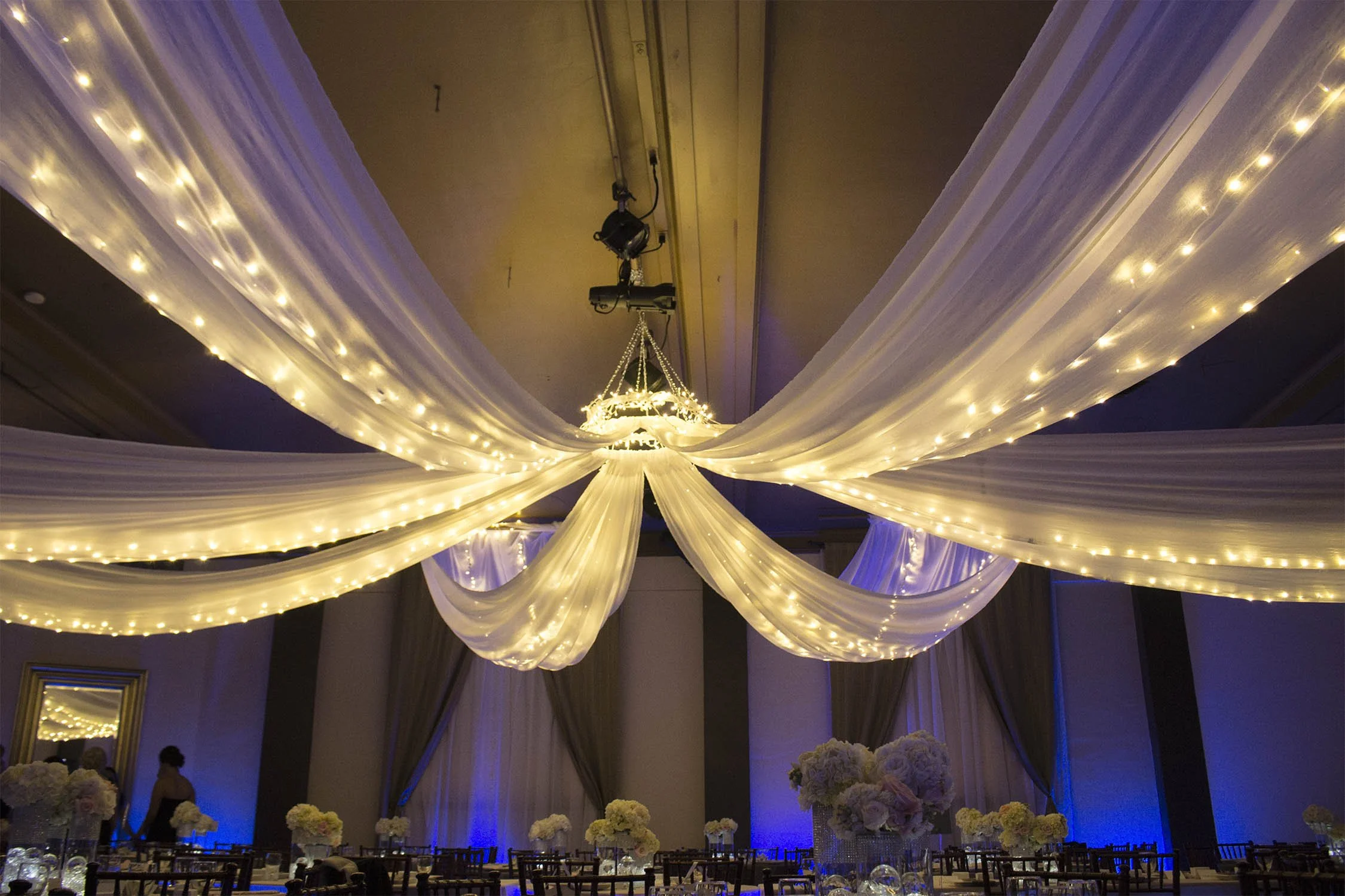 Bowerbird Events