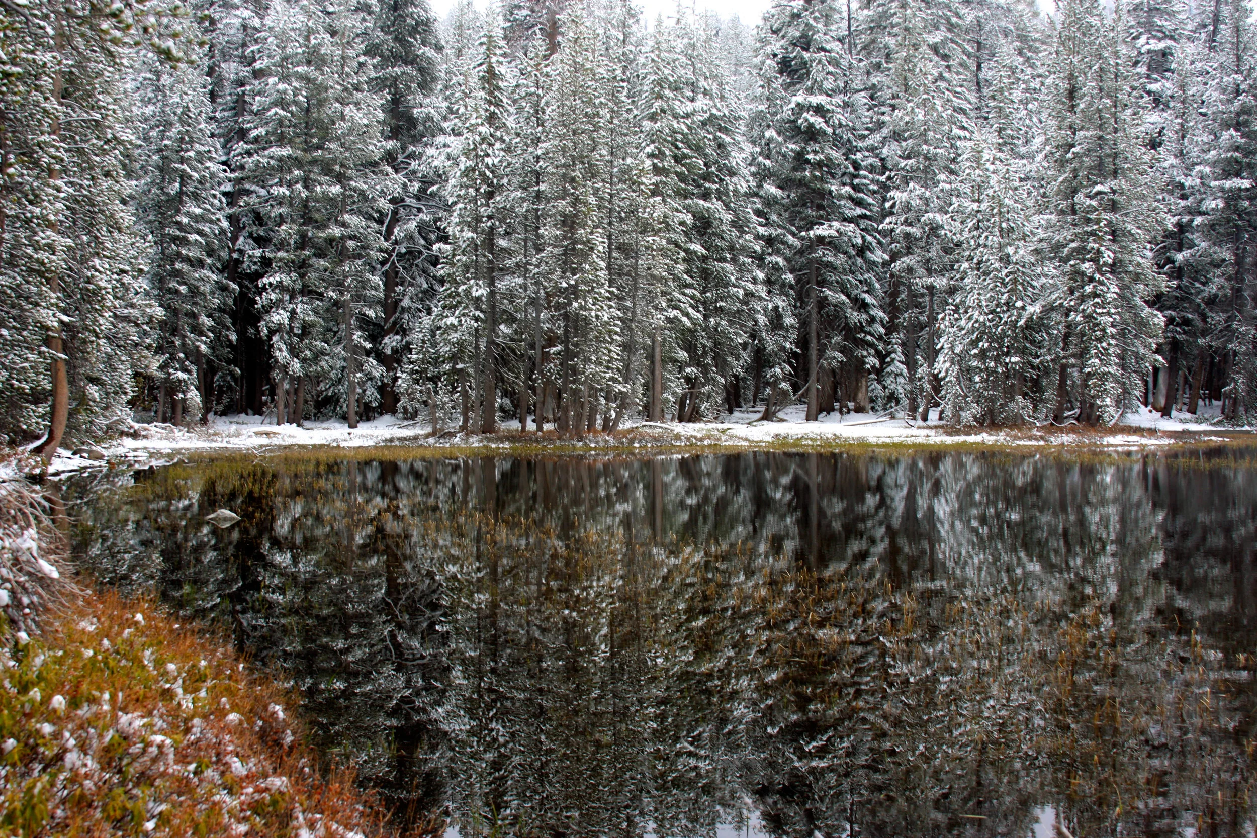 IMG_8311.jpg