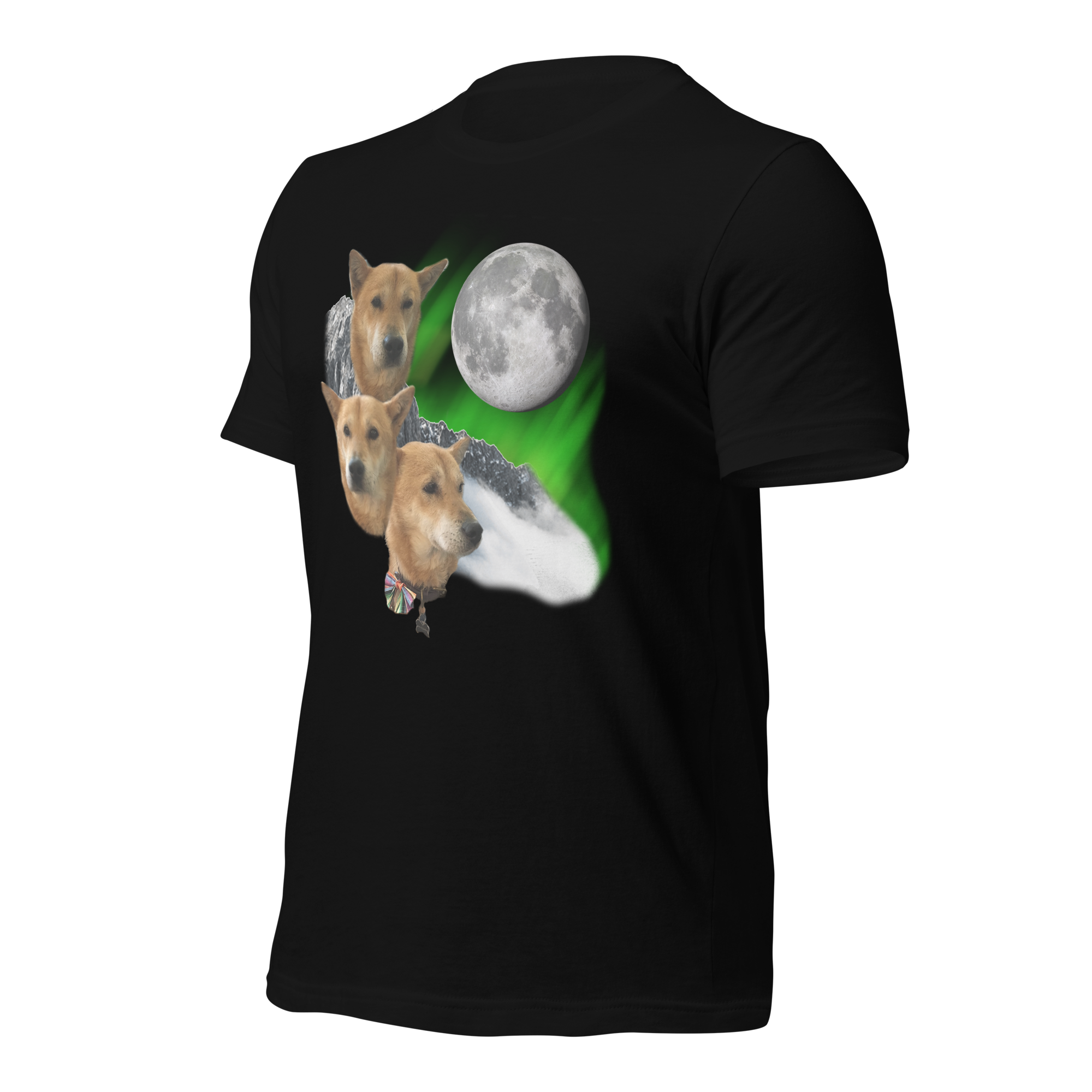 unisex-staple-t-shirt-black-left-front-67fd7aa5aa4e1.png