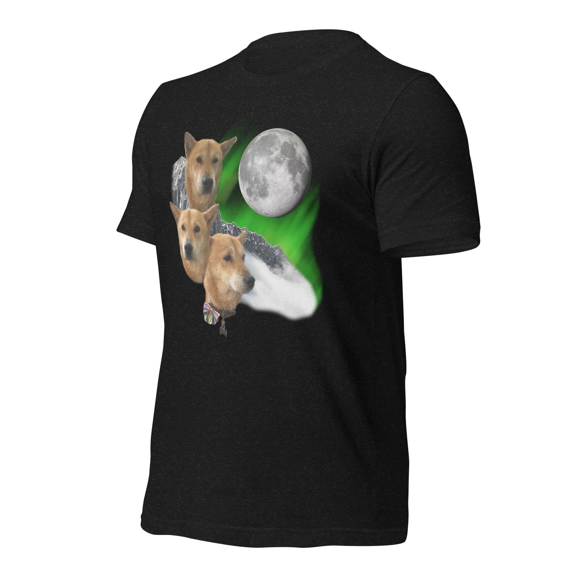 unisex-staple-t-shirt-black-heather-left-front-67fd7aa5a53ea.png