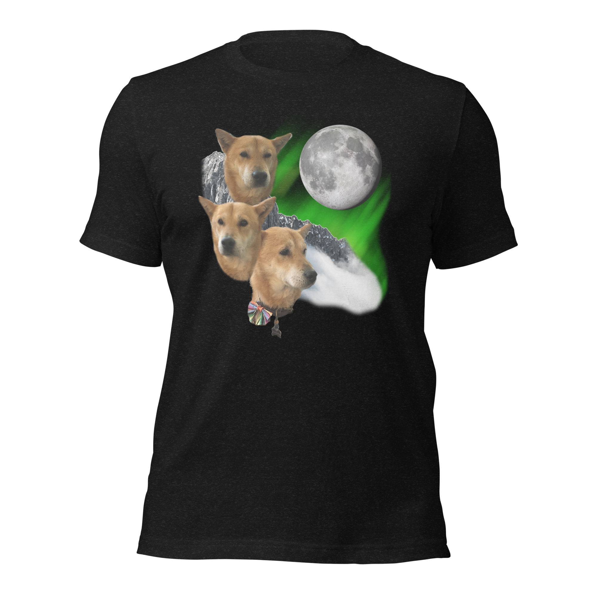 unisex-staple-t-shirt-black-heather-front-67fd7aa5a35b8.png