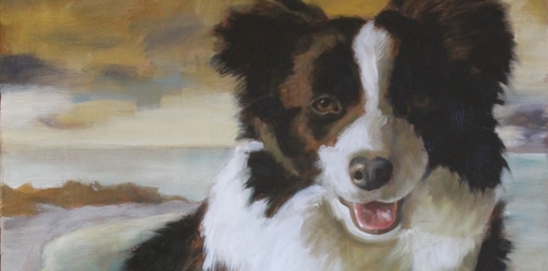 Dolly on Rottnest.jpg