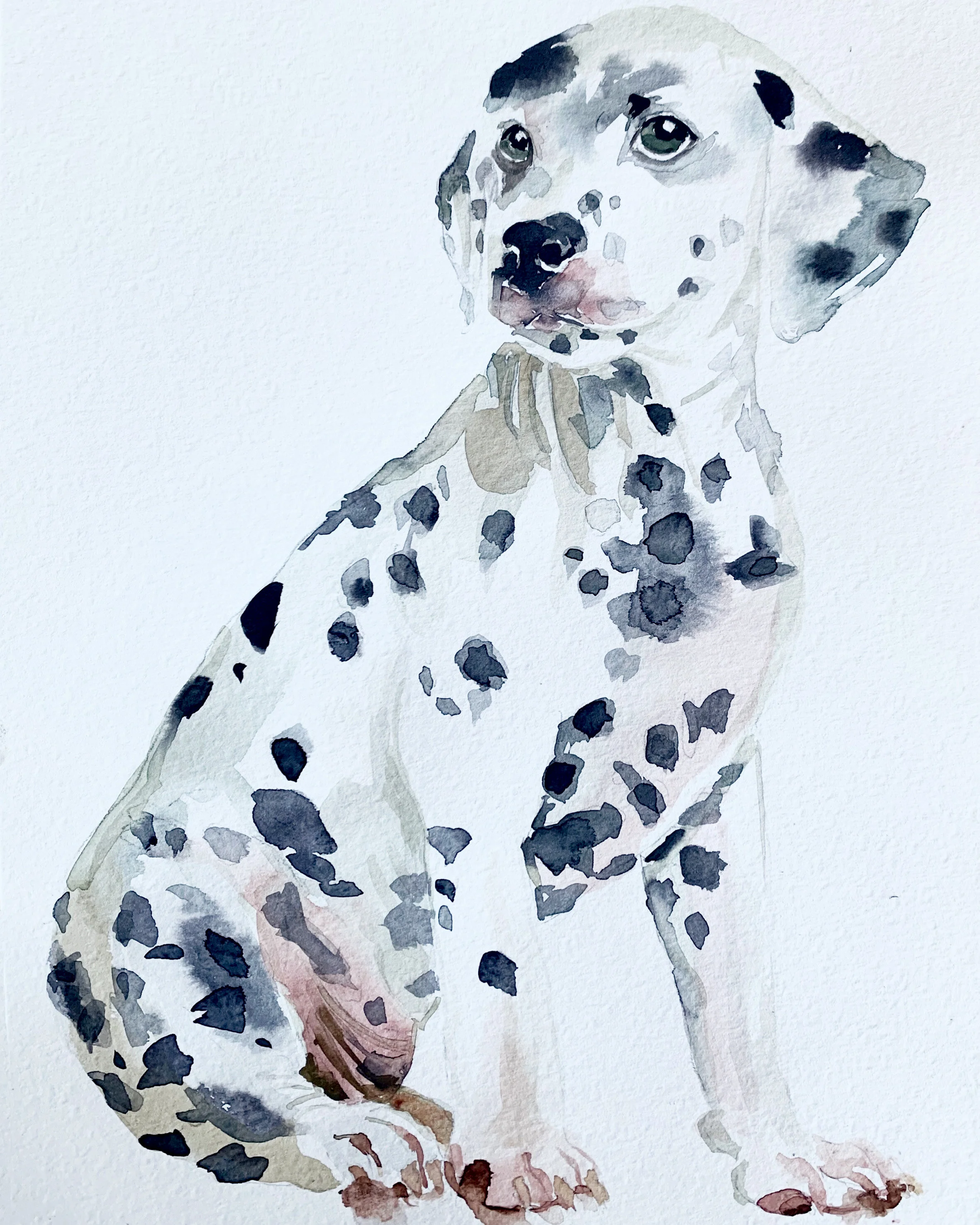 Dalmation watercolour.jpg