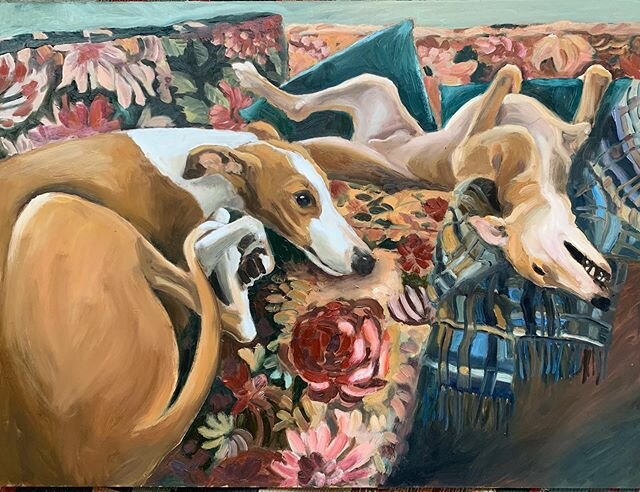 The floral couch is bed of choice for these two. They understand comfort, and luxury fabric...... thanks to @ateljesmalgrand.se .
.
#dog #dogportraits #petportrait #dogsofinstagram #greyhound #snoozetime