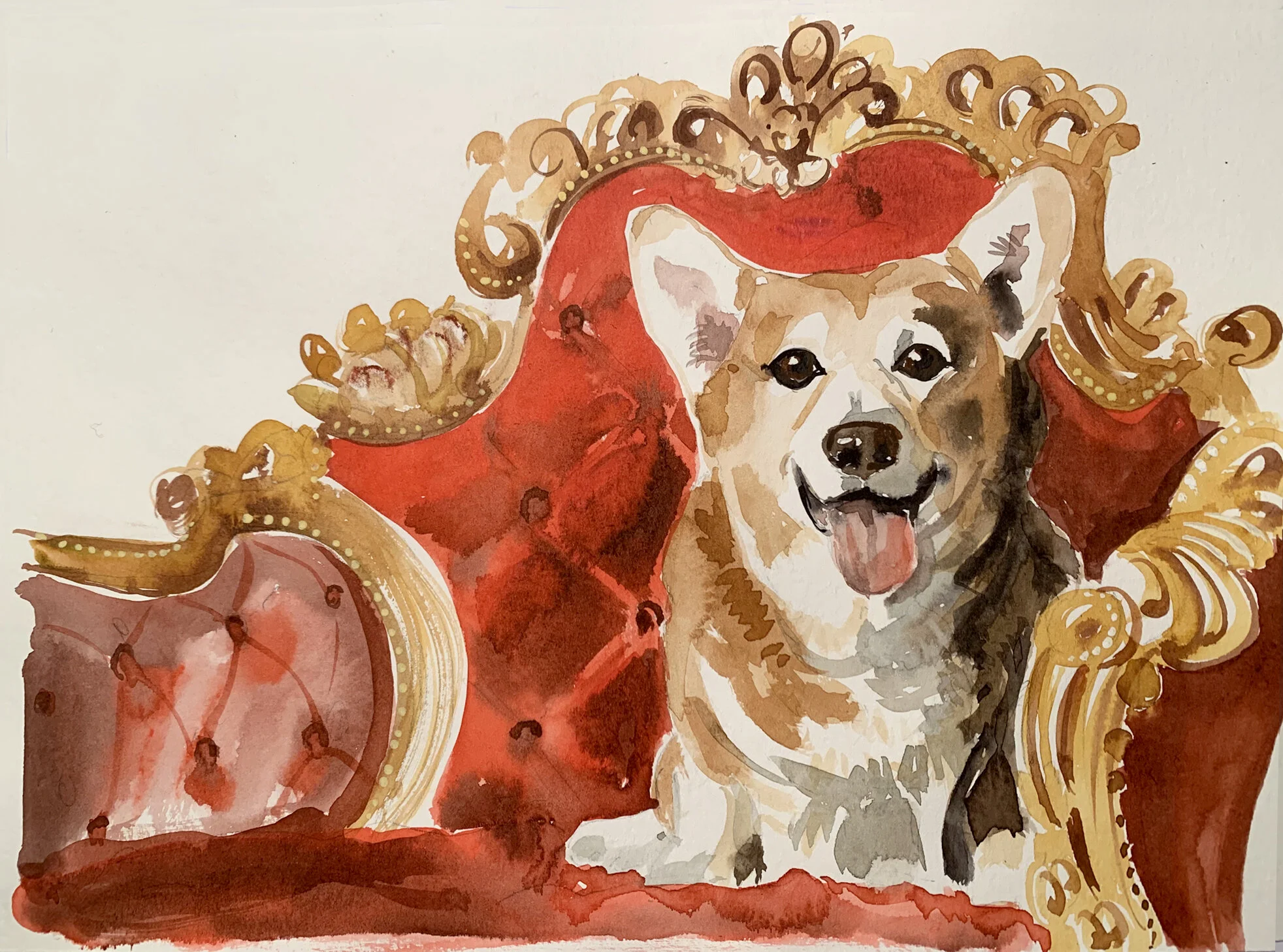Corgi for website.jpg