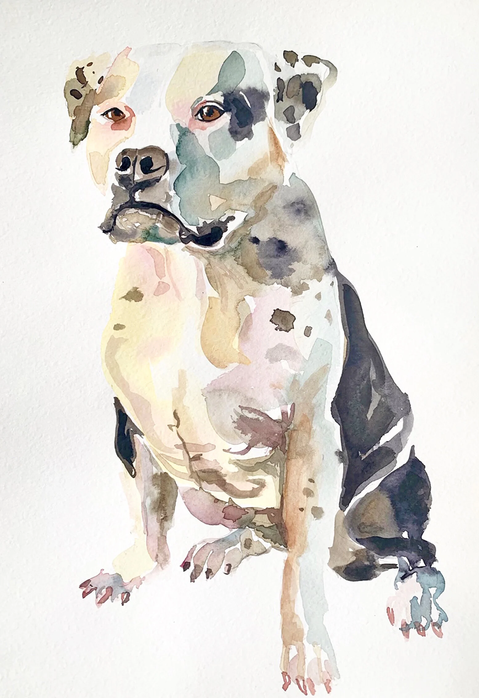 watercolour dogs staffy to post.jpg