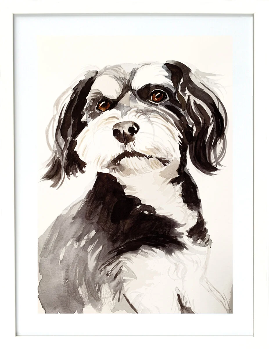 Havanese framed.jpg