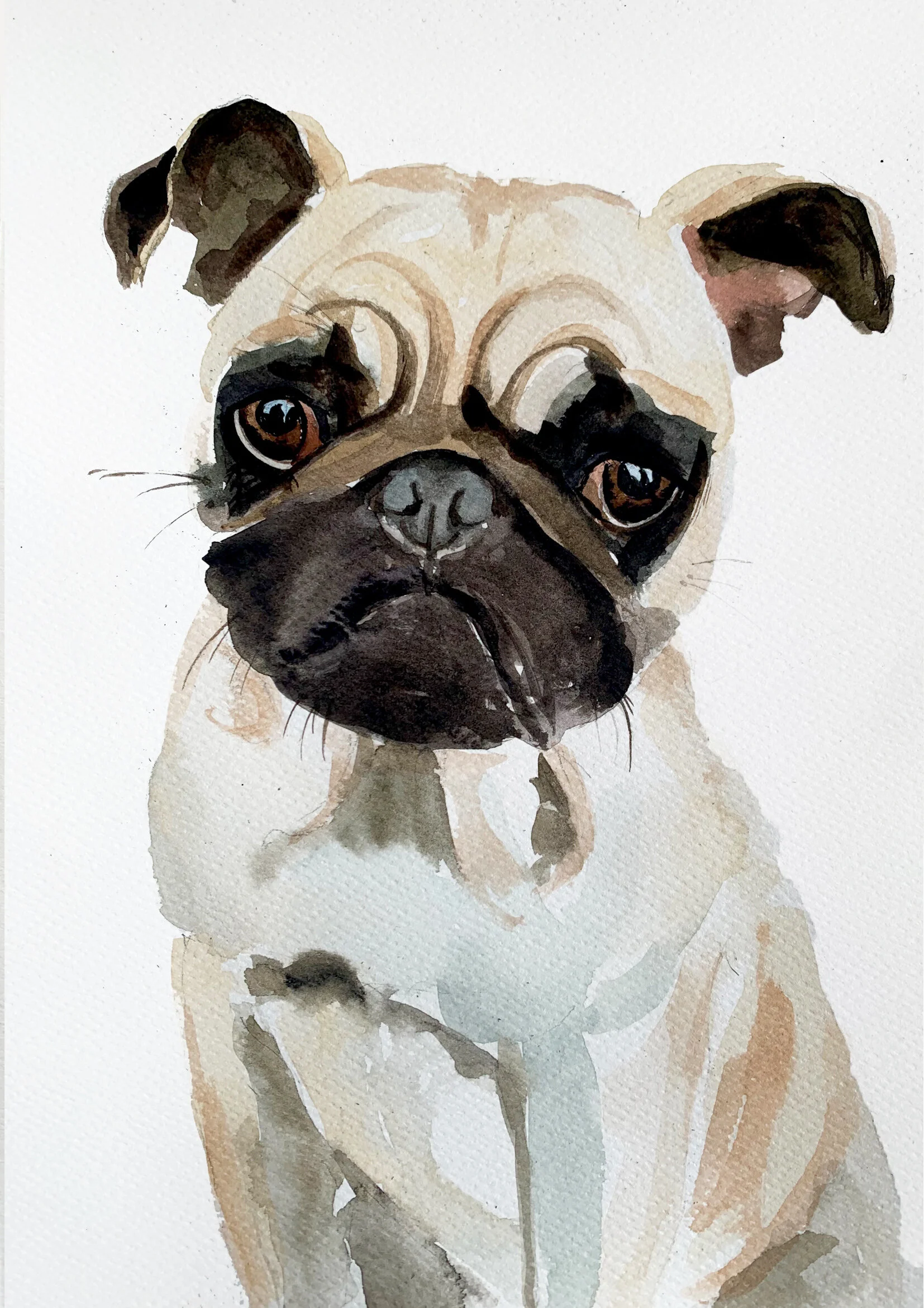 watercolour French bulldog.jpg