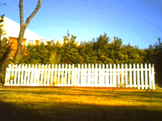 cartweel long-Animated Image (Small).gif