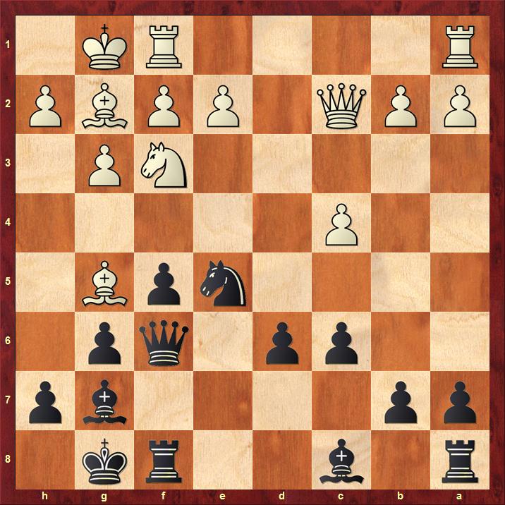 Position after 14.Bg5