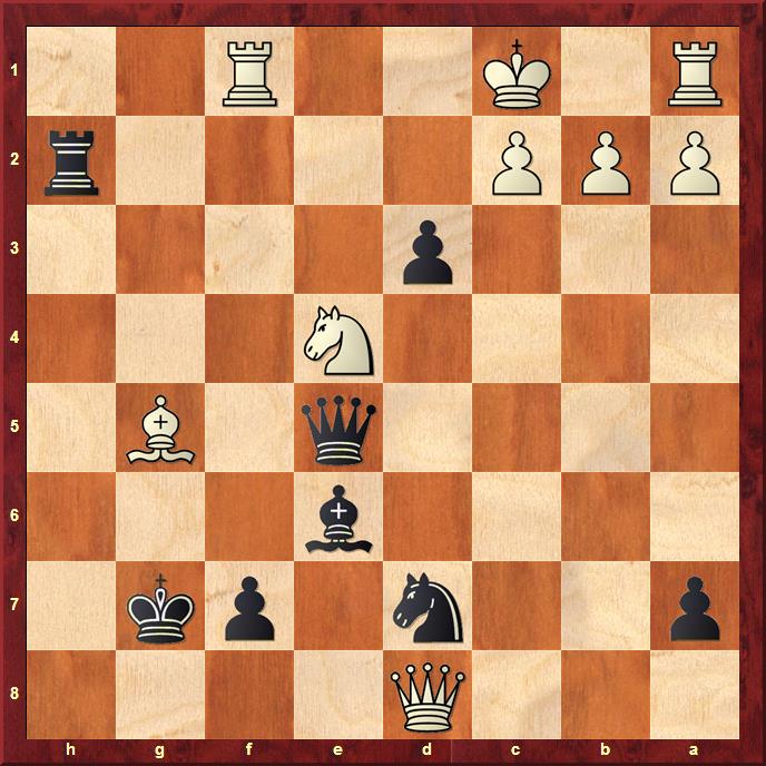 Position after 29.Ne4
