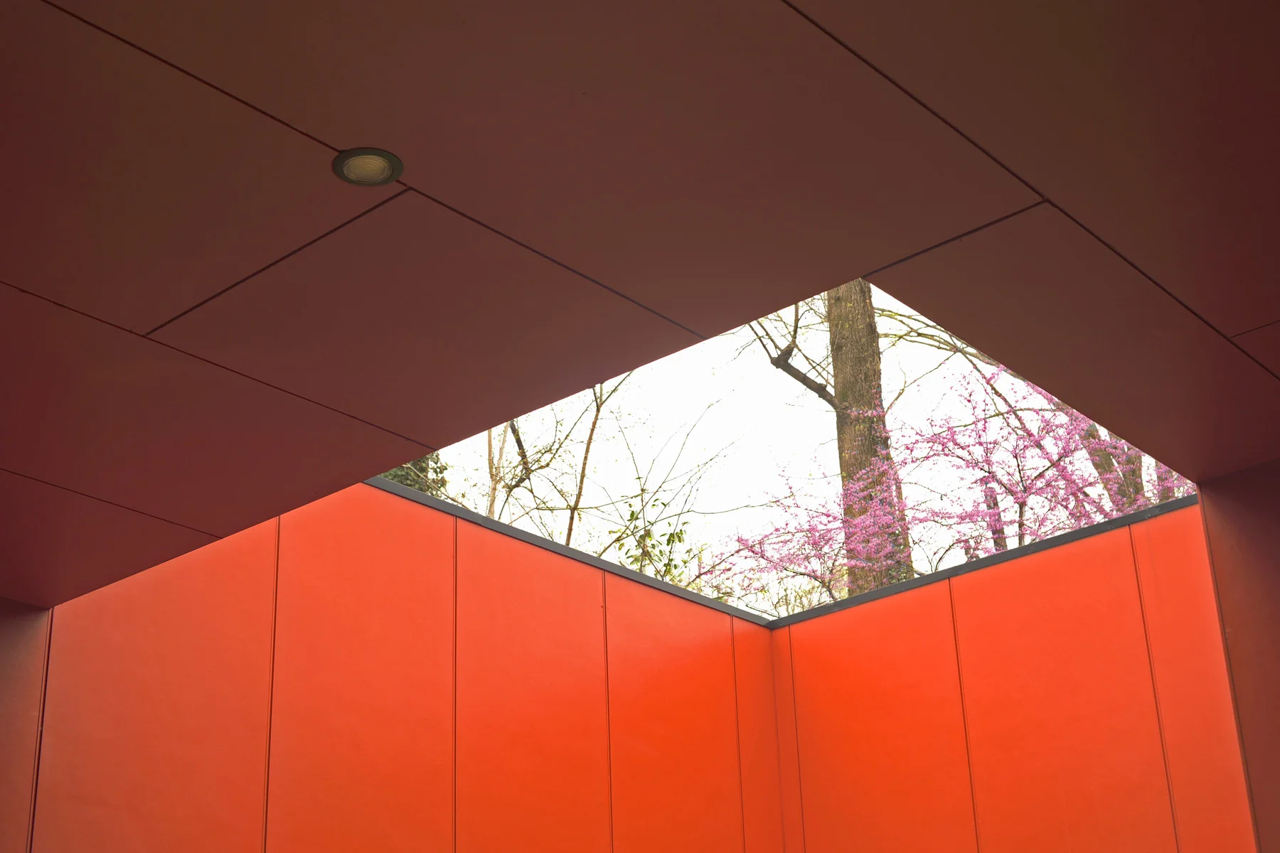 Lewin-7.jpg