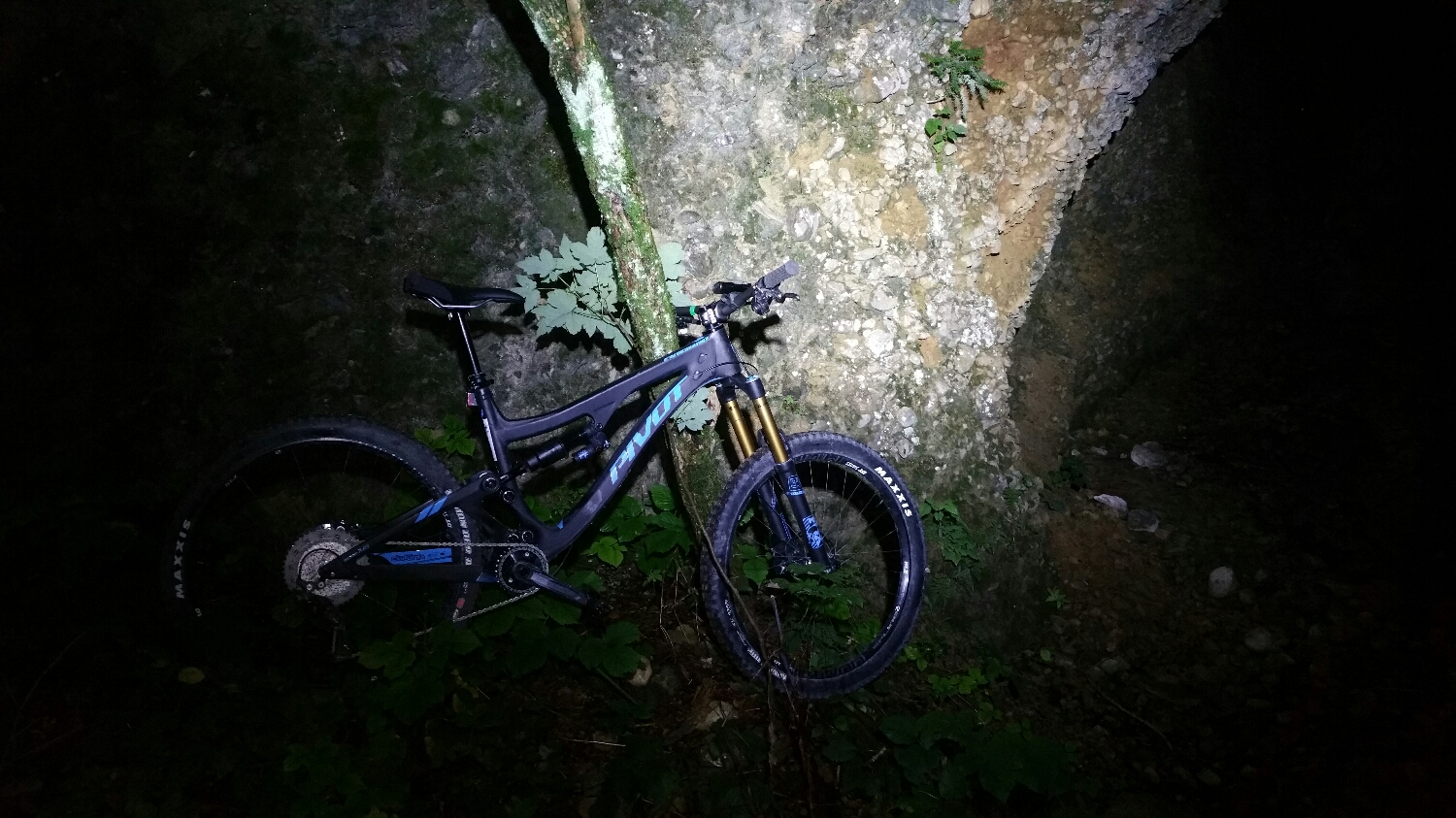 Am Berg im Wald - da gehört das Firebird hin