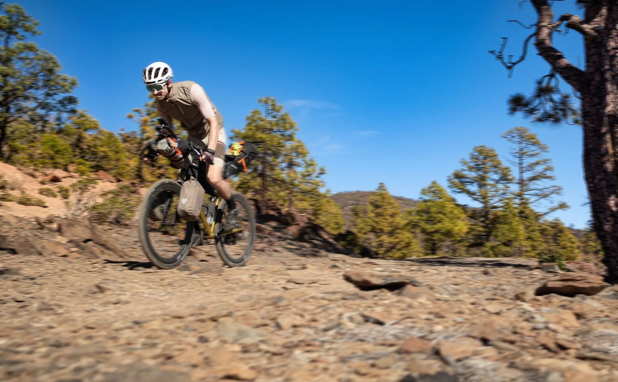 Tout Terrain Ceres Jakob Wall (1).jpg