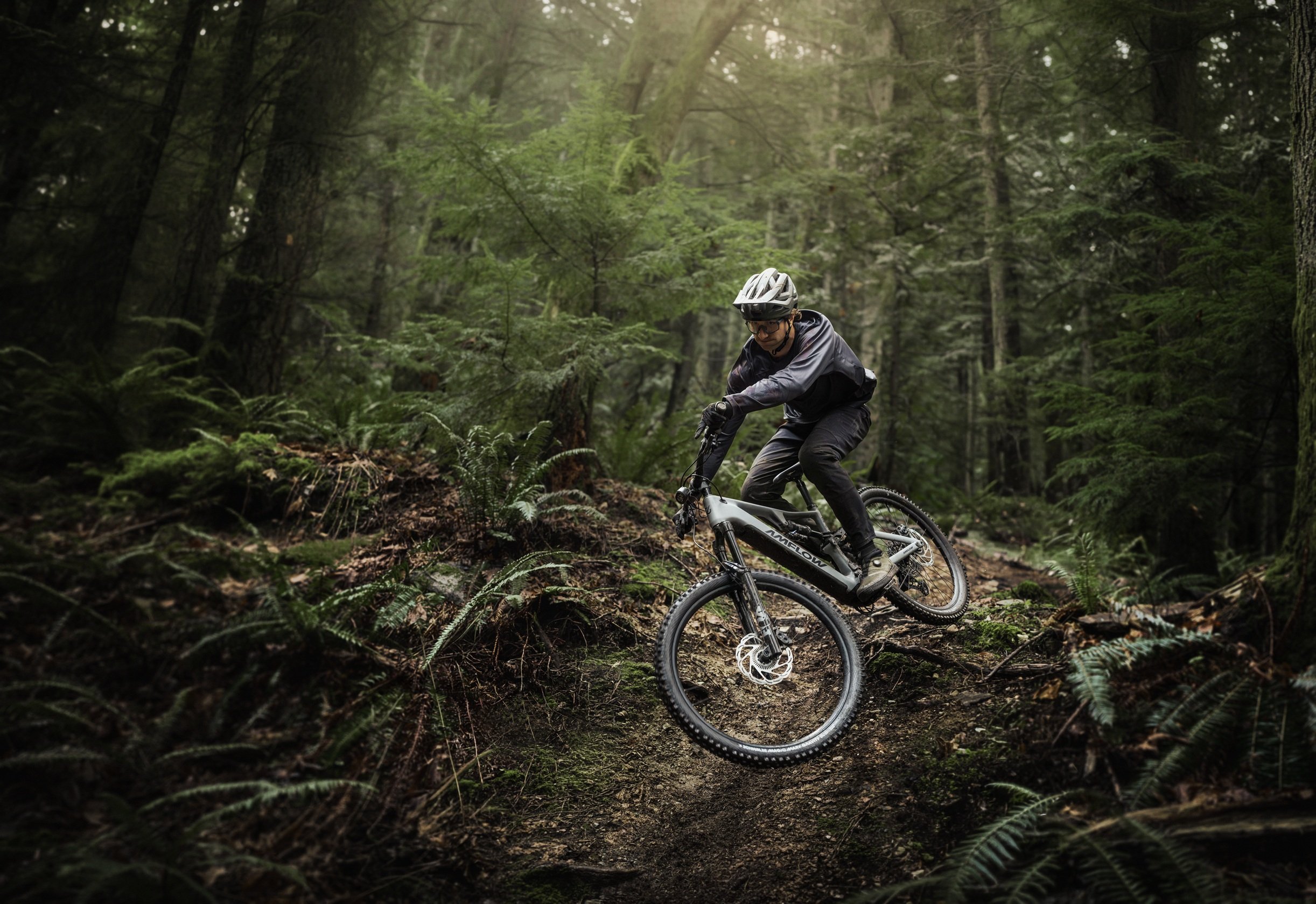 Amflow PR Pro_Lifestyle KV_Forest2.jpg