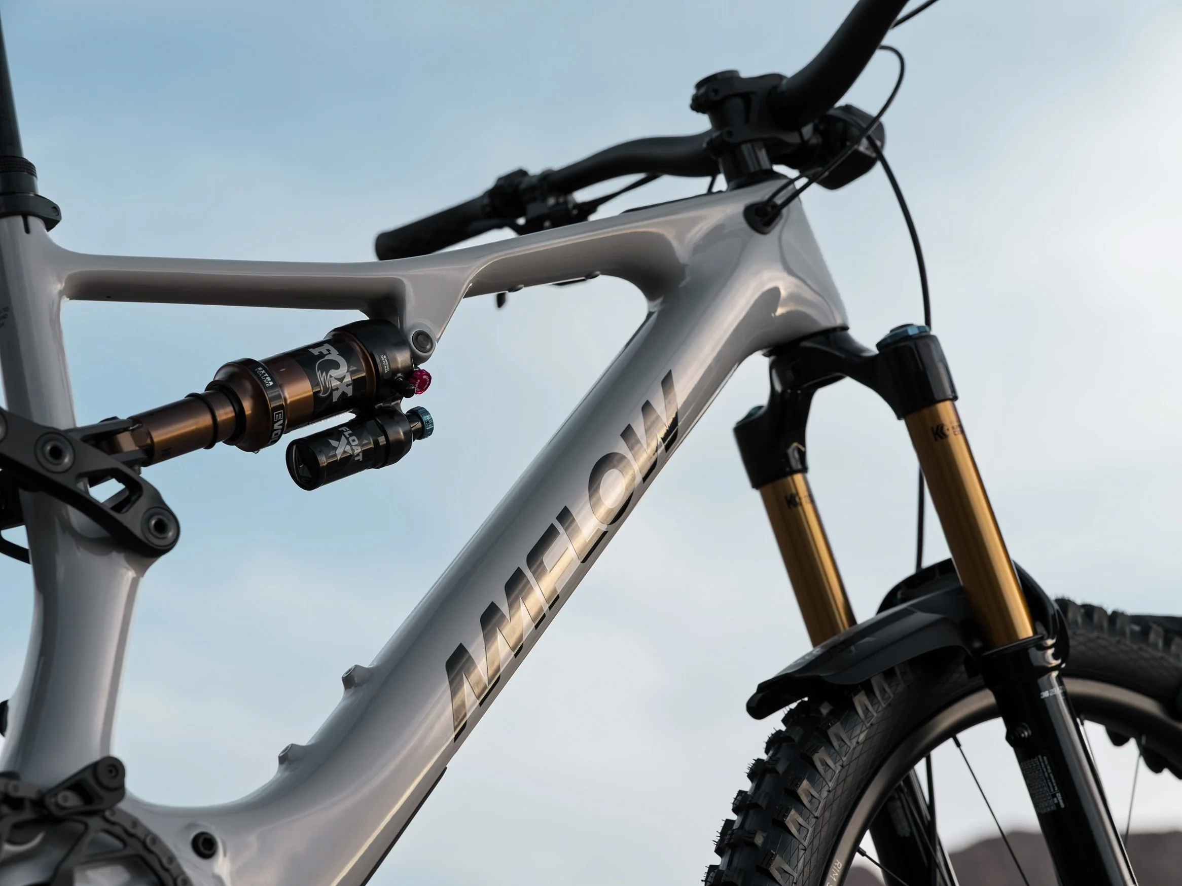 downtube logo detail_车身logo特写.jpg