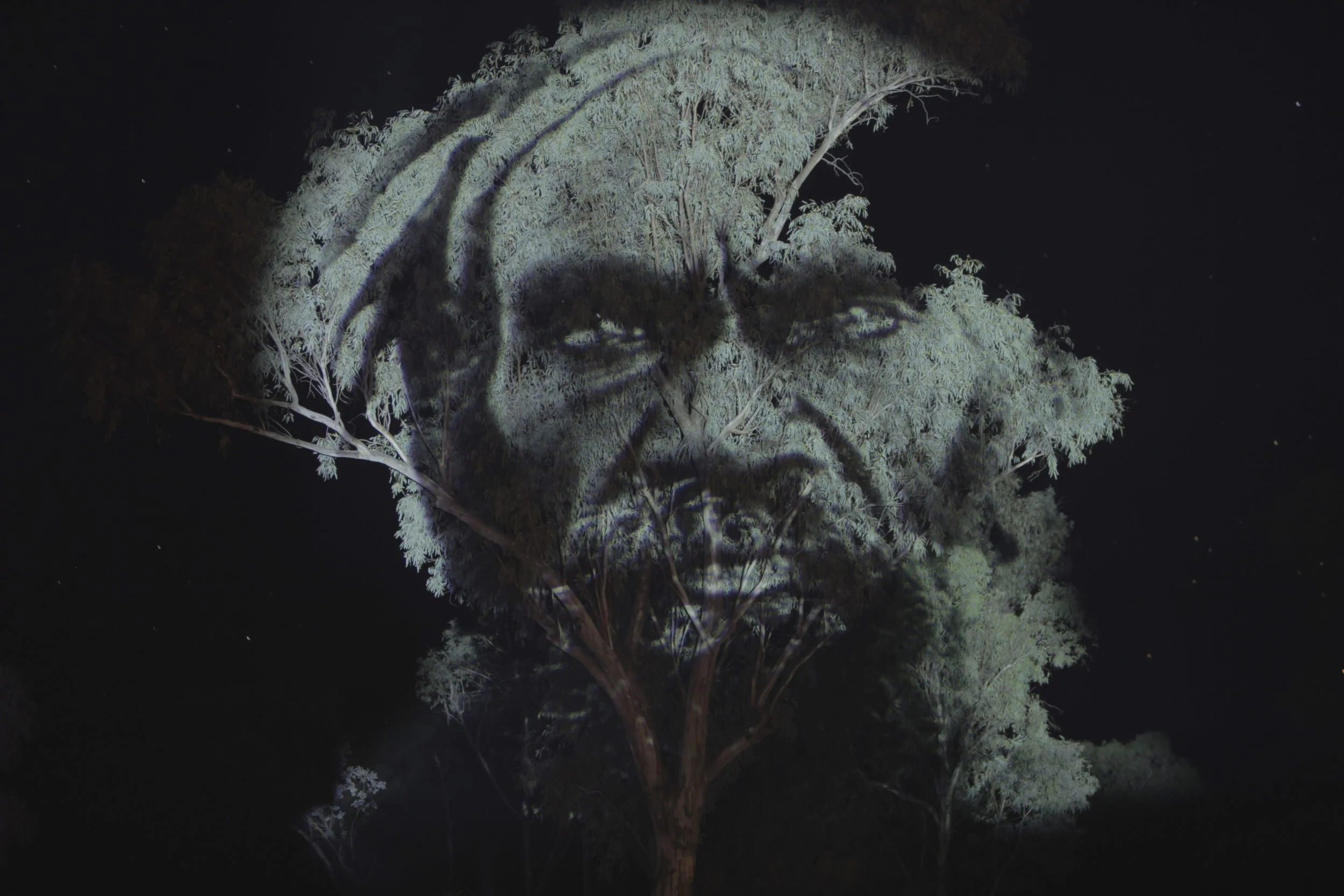 Arrernte Man.jpg