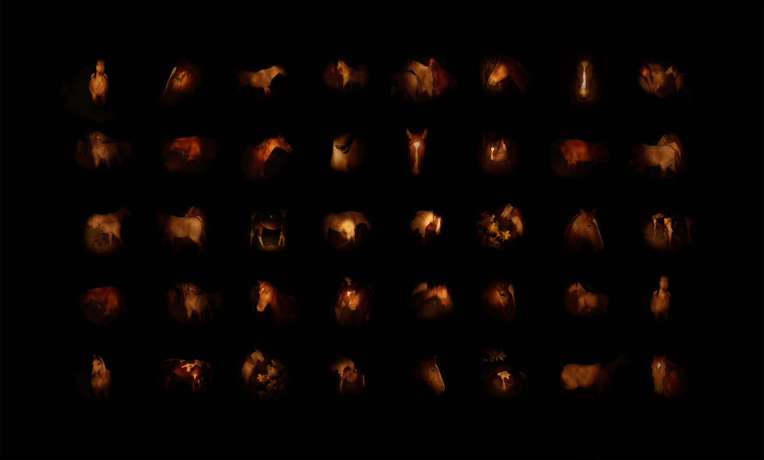 Horses in the night composite for web.jpg