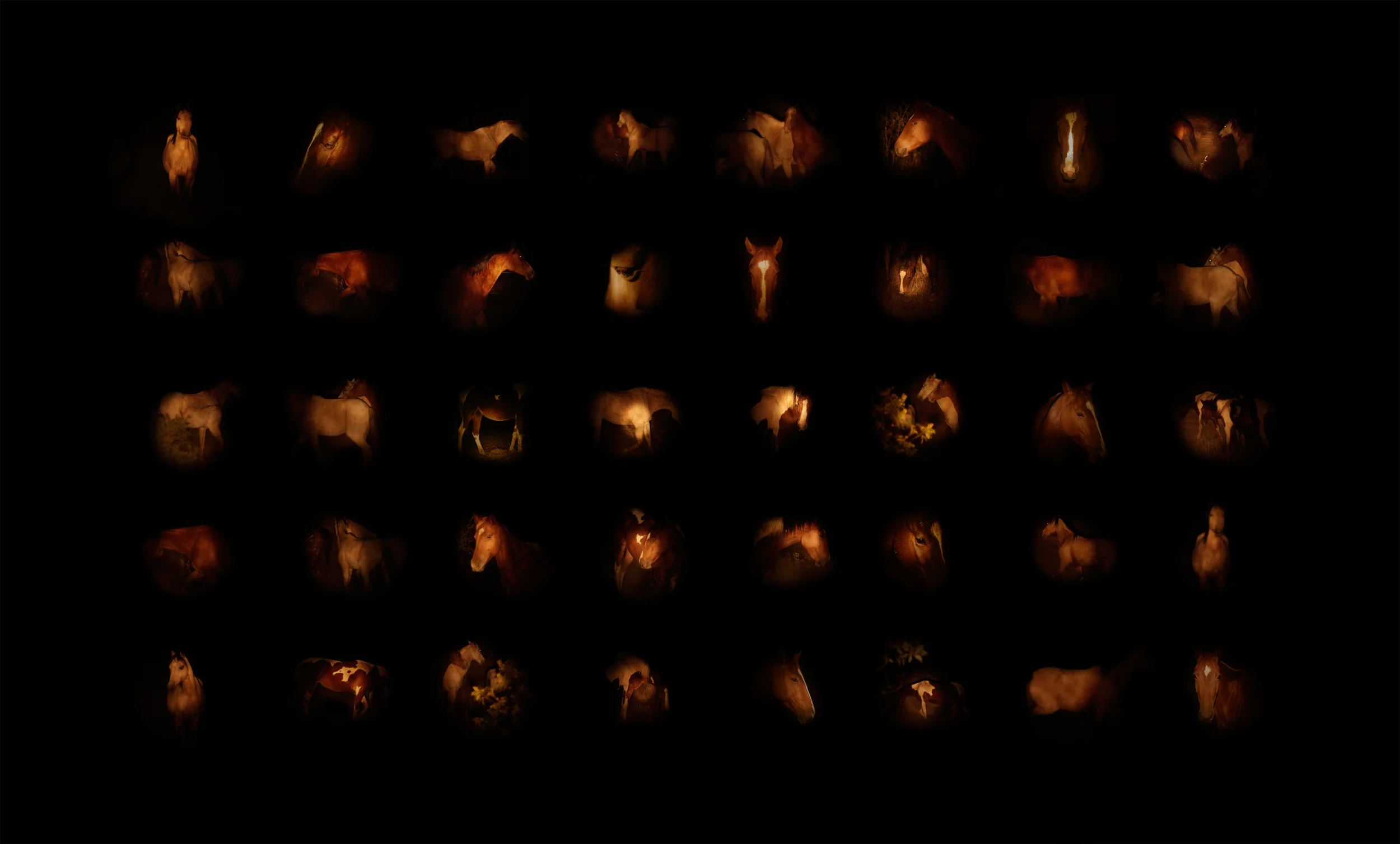 Horses in the night composite for web.jpg