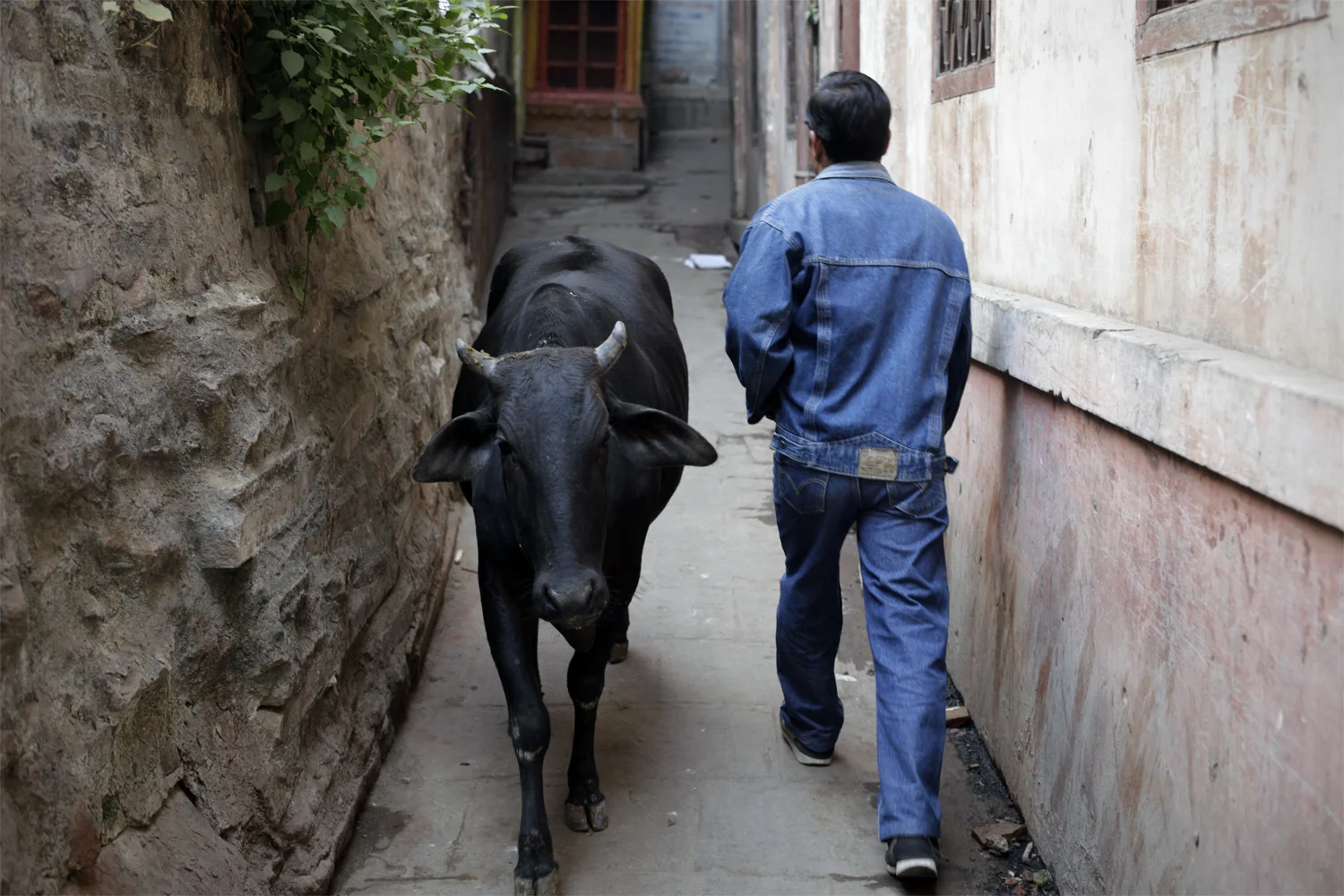 India17 copy.jpg