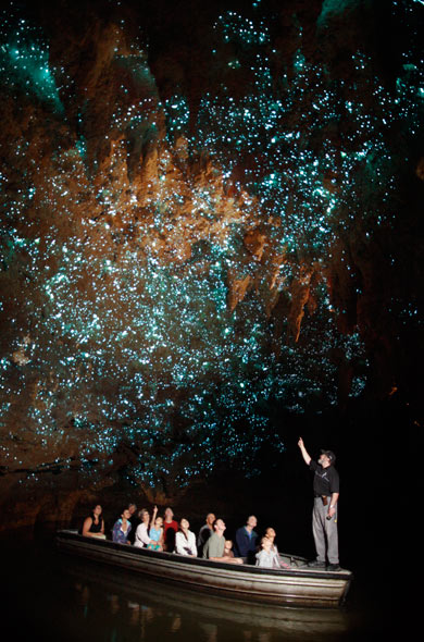 Waitomo Caves Photo: Discover Waitomo
