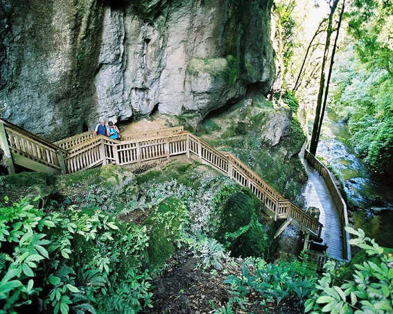 Mangapohue Natural Bridge