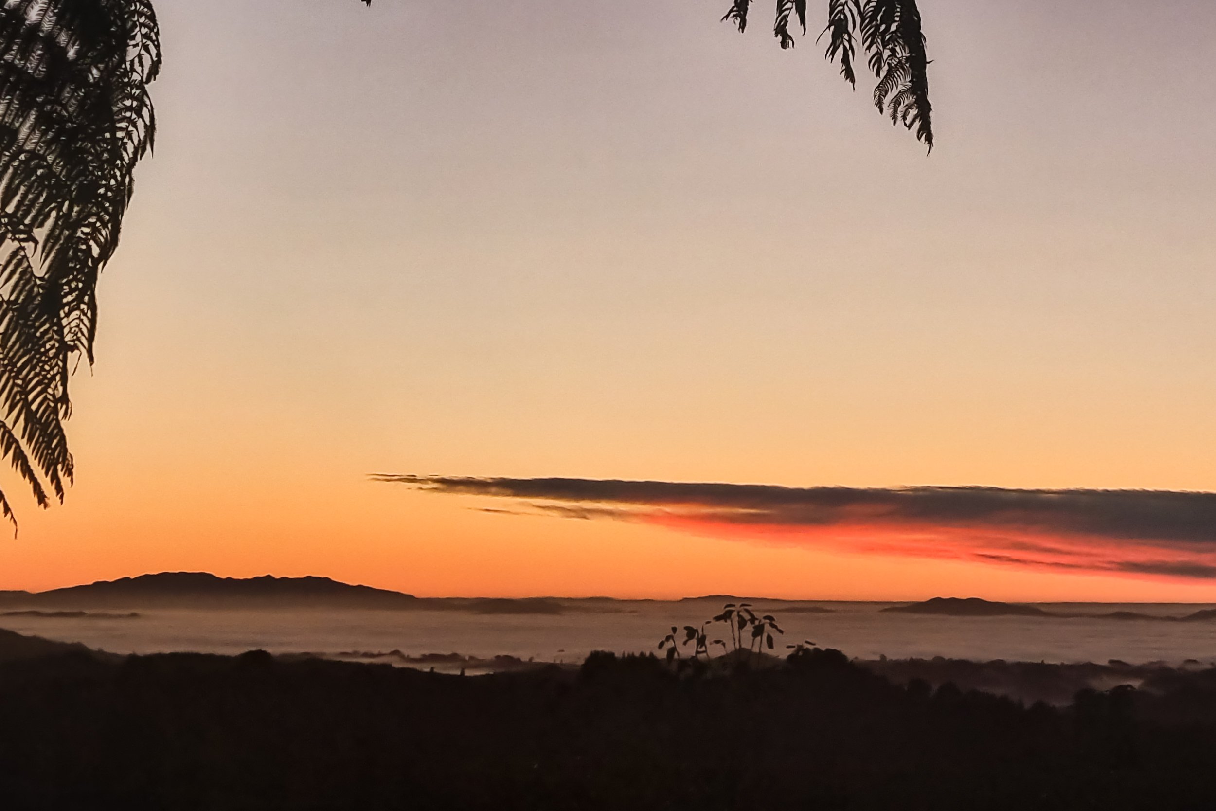 The Iconic Te Tiro morning cottage sunrise warming up the sleepy foggy Waitomo landscape