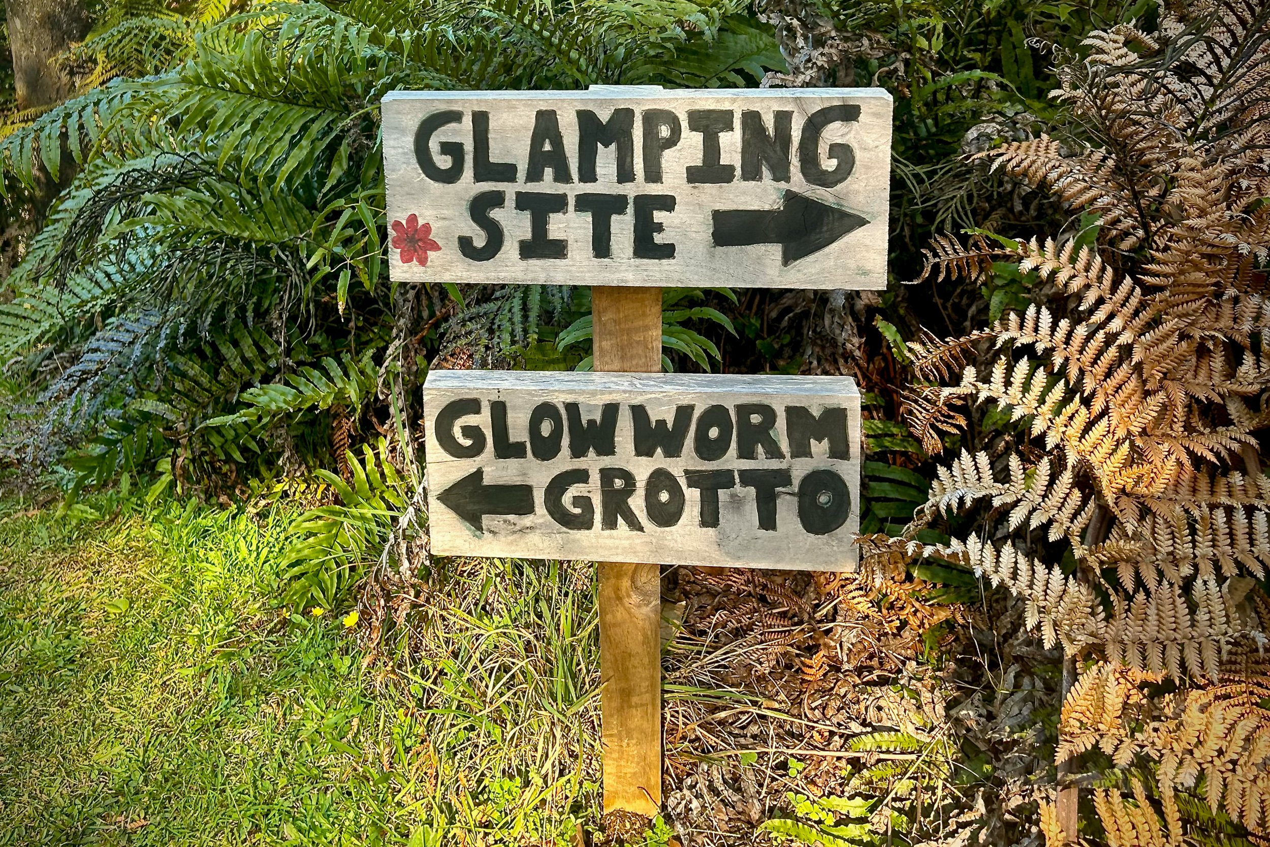Short 1min walk to the Glowworm grotto this way