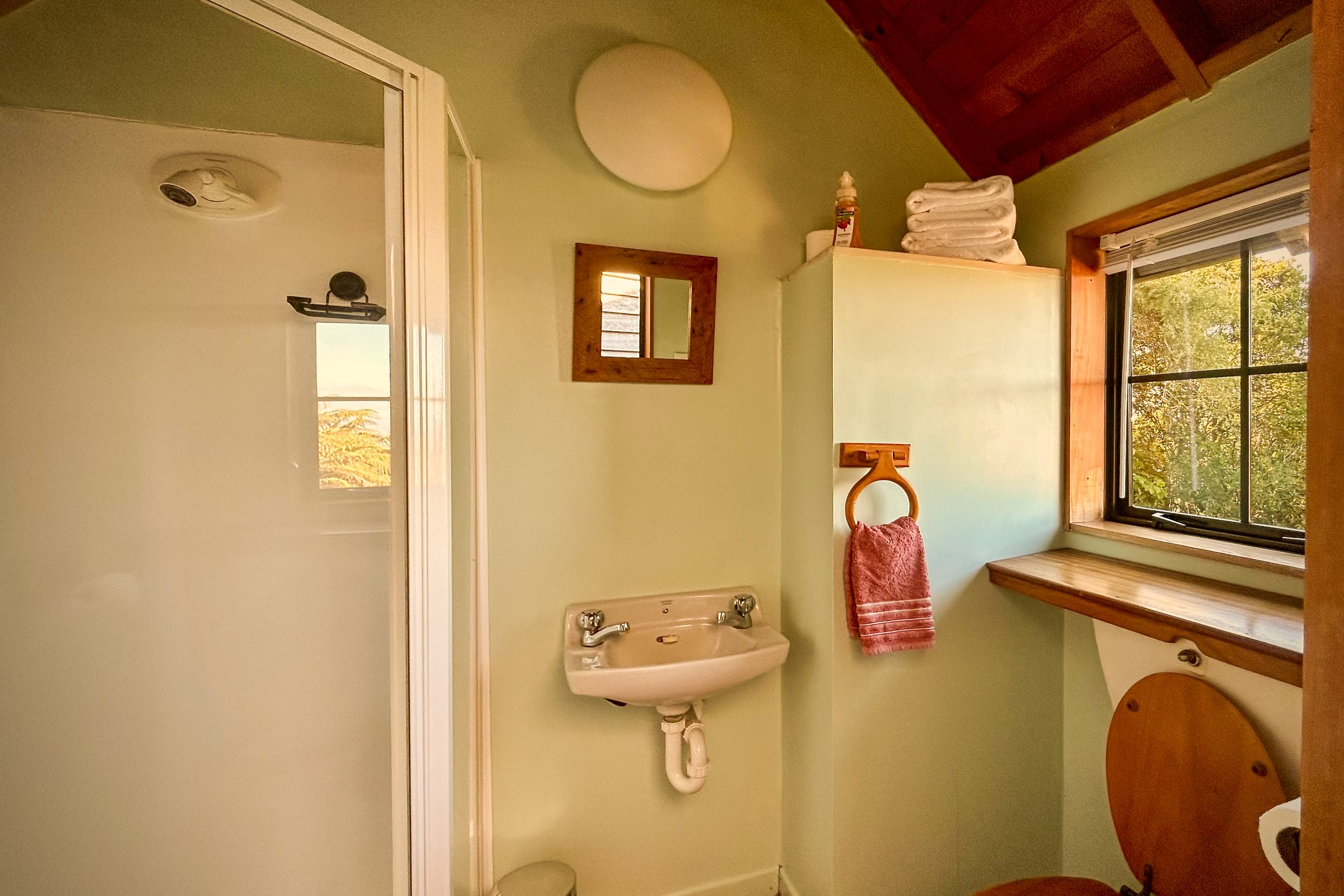 Te Tiro cottage private bathroom shower and toilet