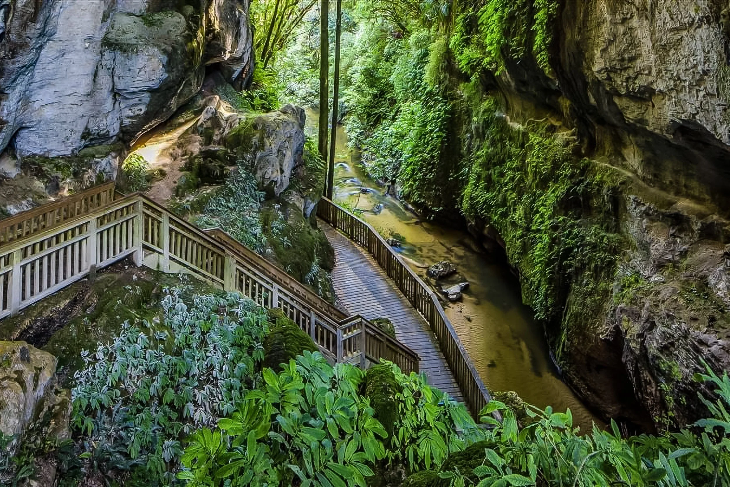 Mangapohoe Natural Bridge