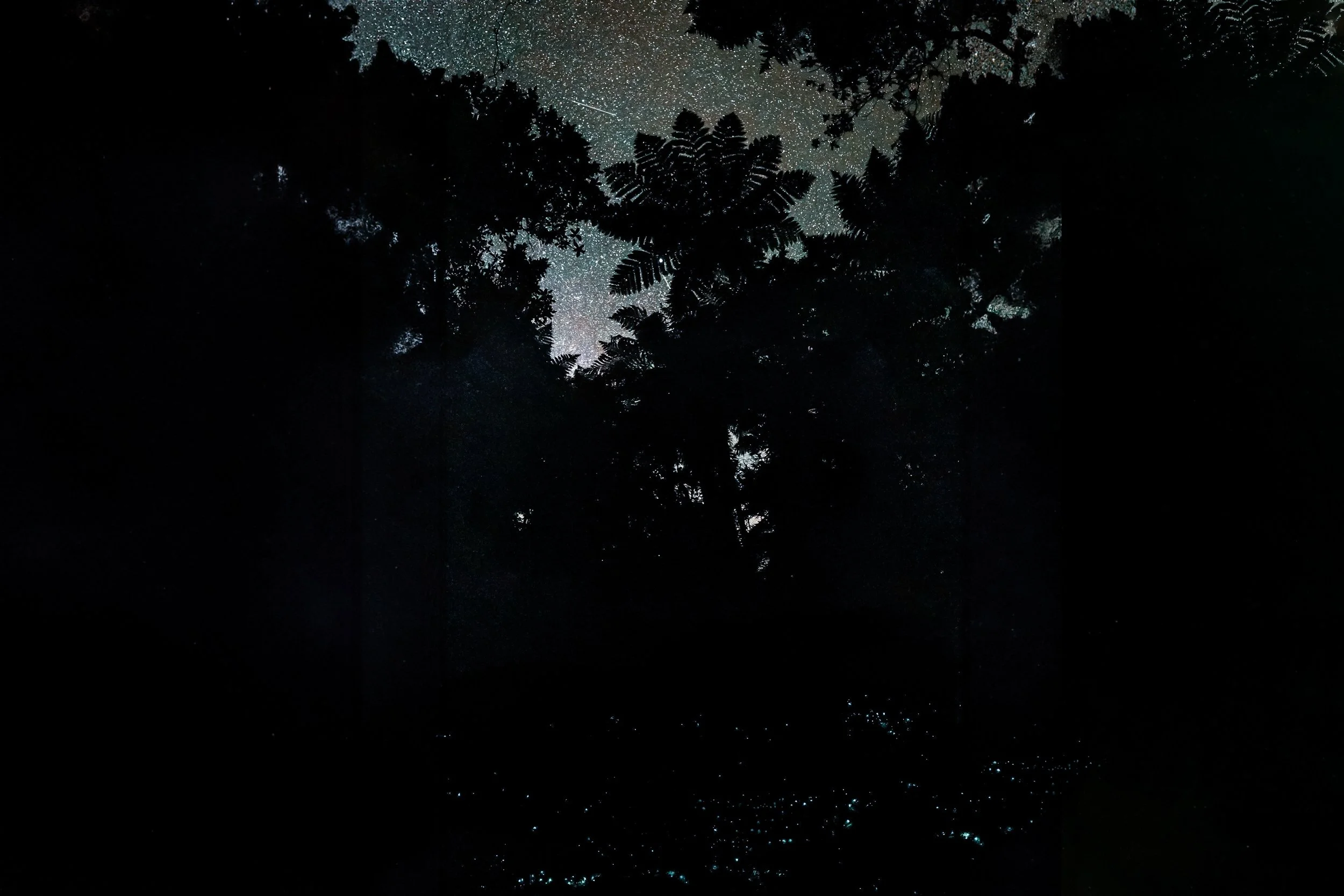 Te-Tiro-night-glowworm-grotto-2500-credit-Angus-Stubbs.jpg