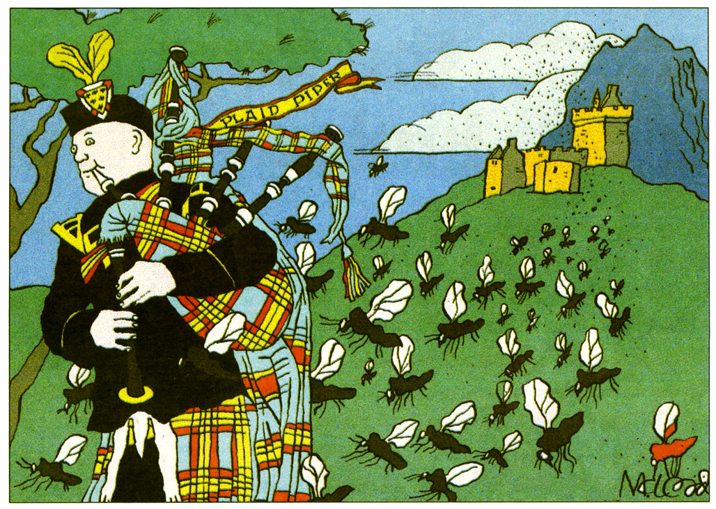   The Plaid Piper (&amp; Midges)  The Herald 