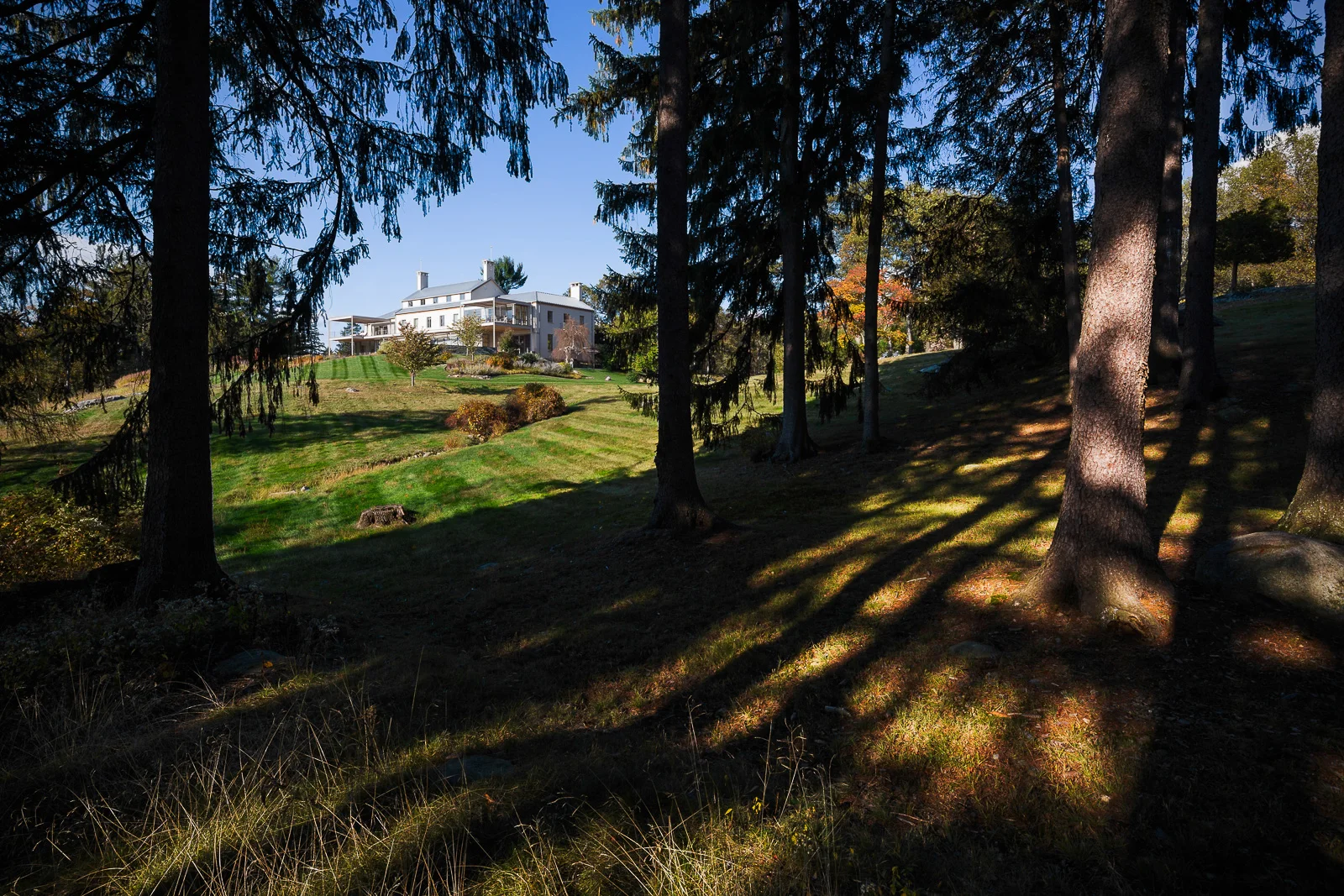 IMG_3551 as Smart Object-1.JPG