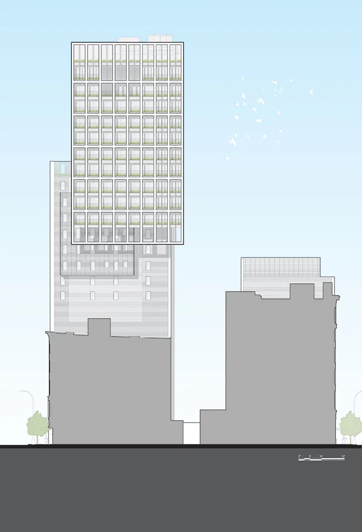 39 W23rd Street | East Elevation Illustration by Rob Cleary
