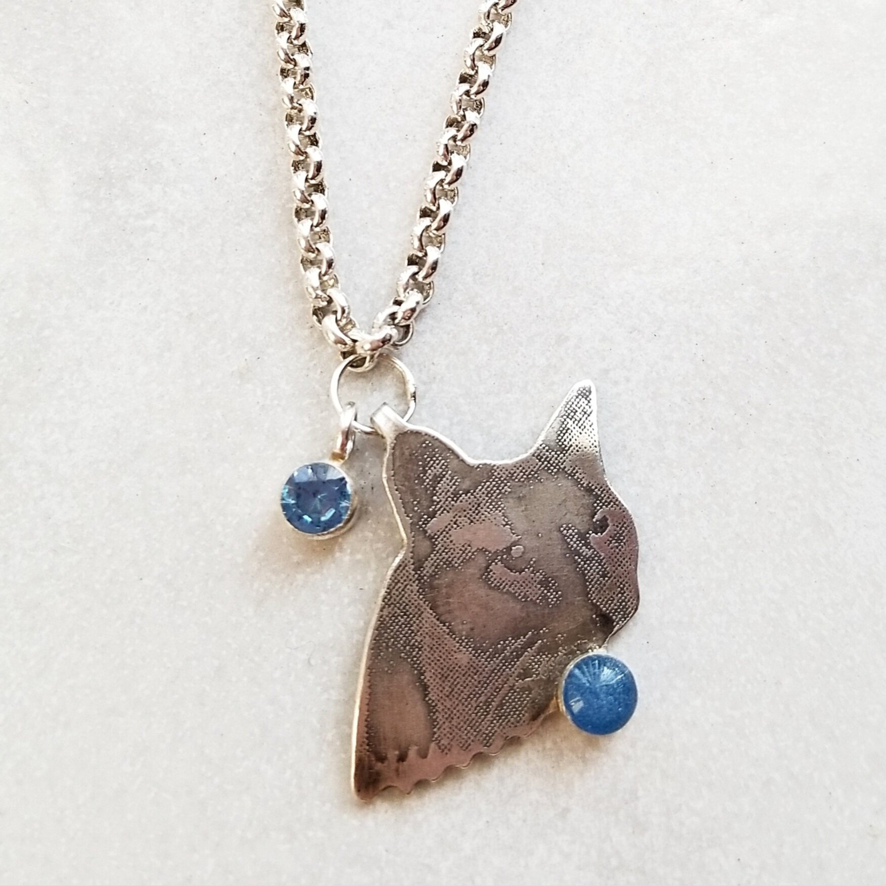 Mocha the Big Cat with Many Skills