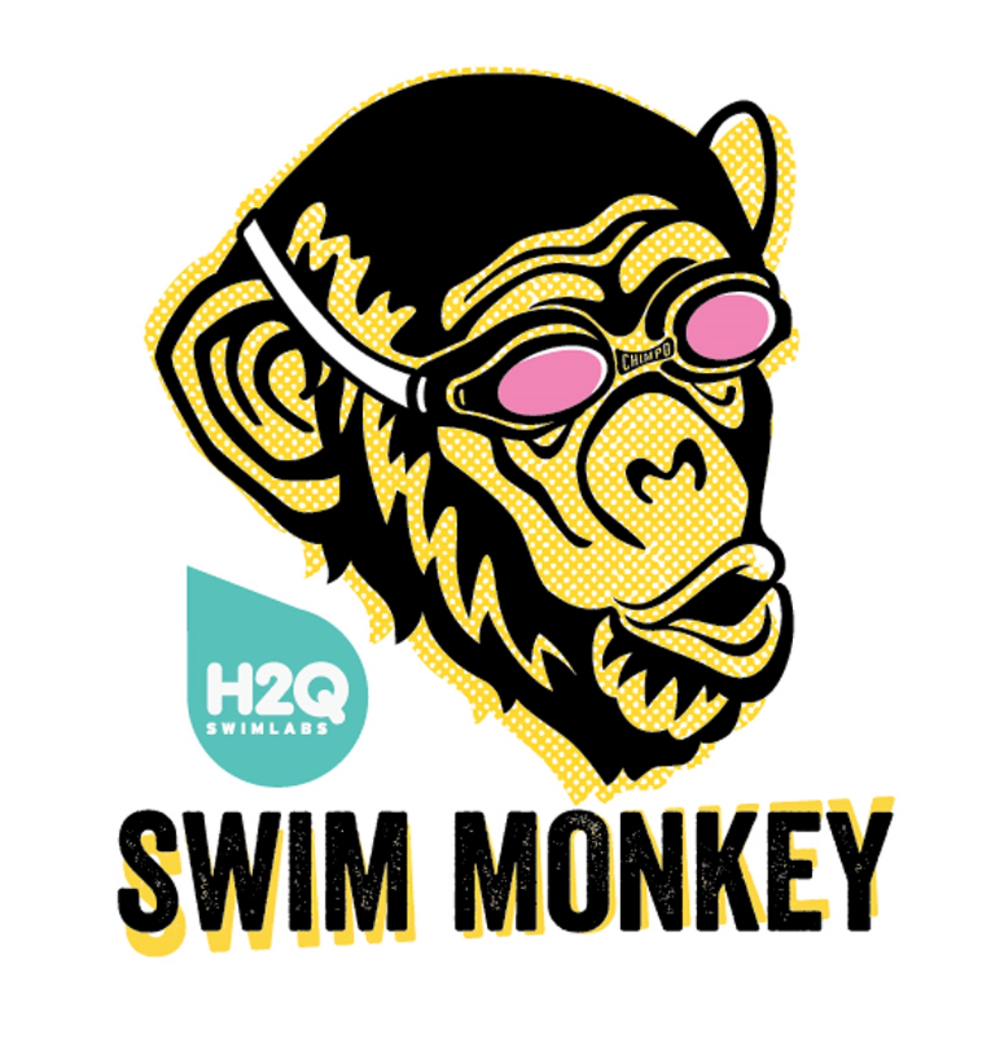 SwimMonkey_1a.jpg
