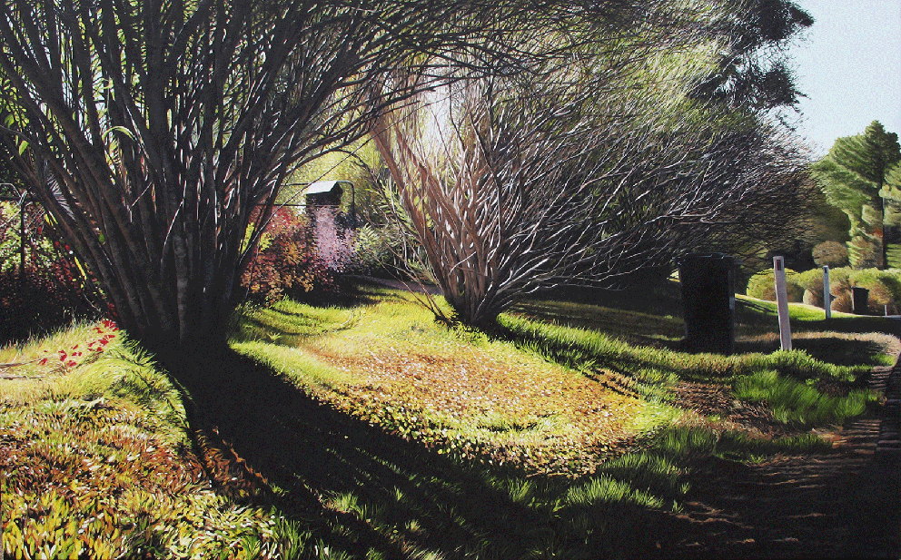   Winter Branches   183x112cm Oil on Canvas SOLD 