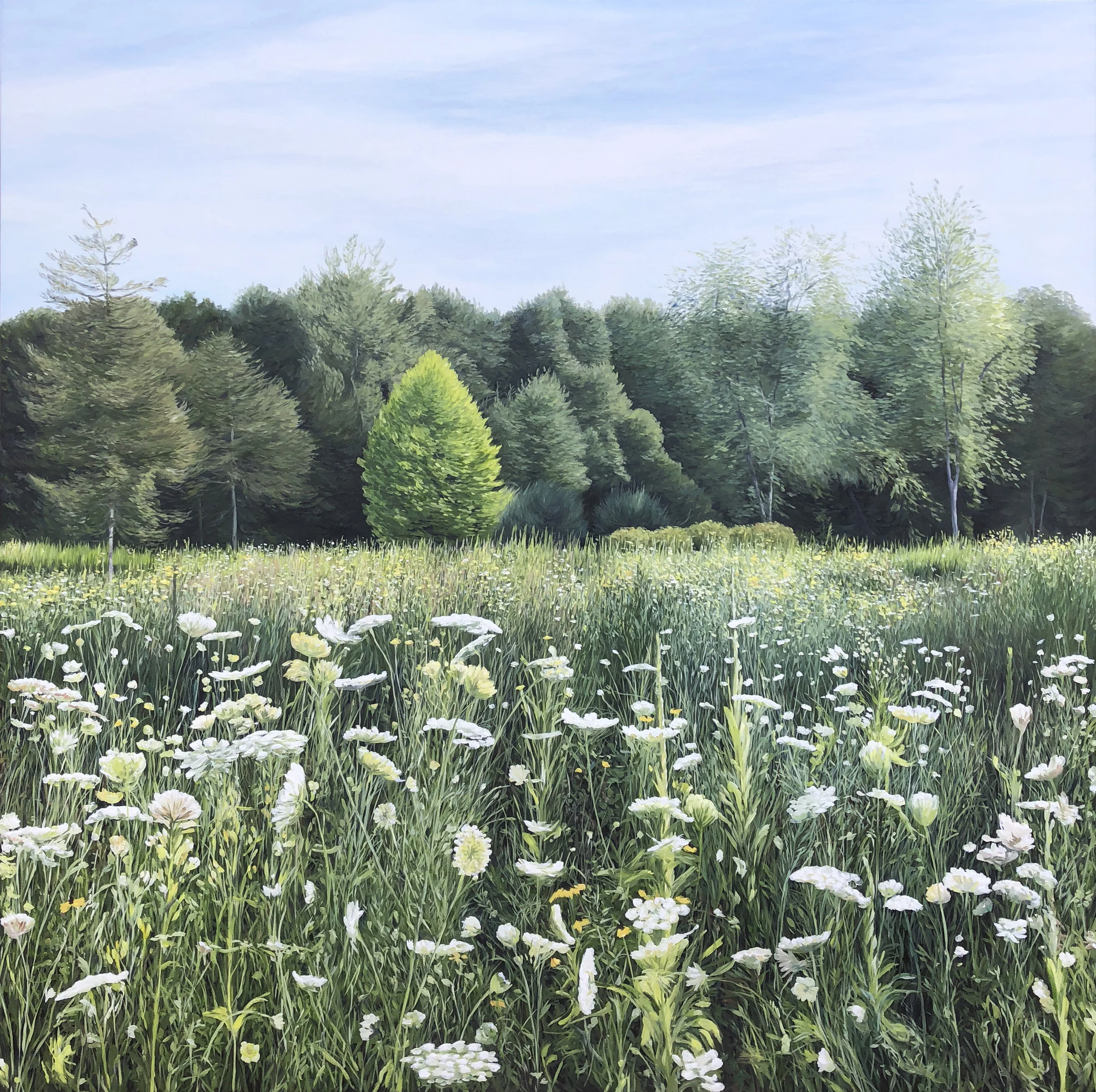 Softness of Summer Oil on Canvas 150cm x 150cm $14,000