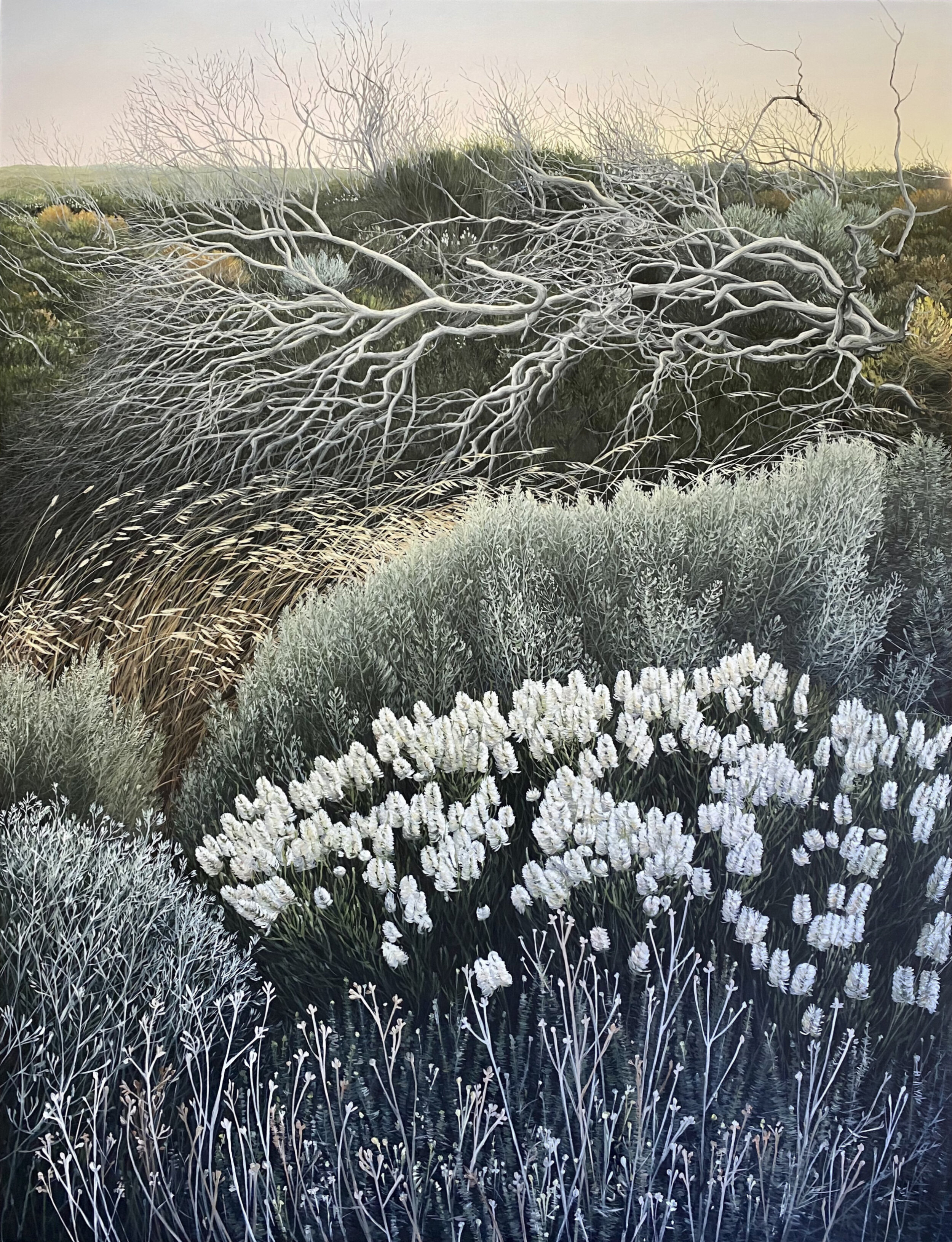   Wayward Vegetation   Oil on Canvas 1589x198cm SOLD 