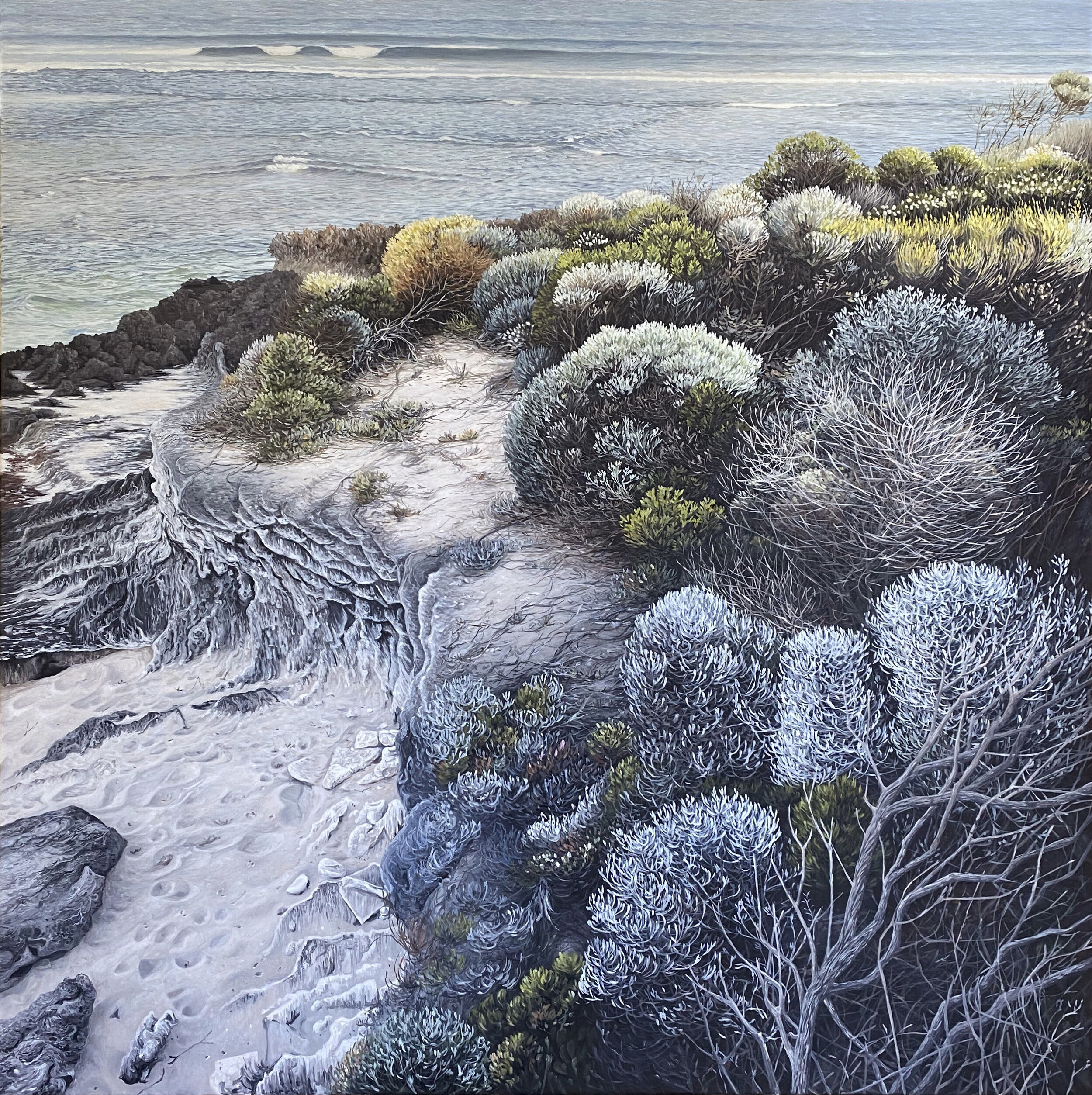   Colour Play of Coastal Life  Finalist   Muswellbrook Art Prize  Oil on Canvas 137 x 137cm  Sold 