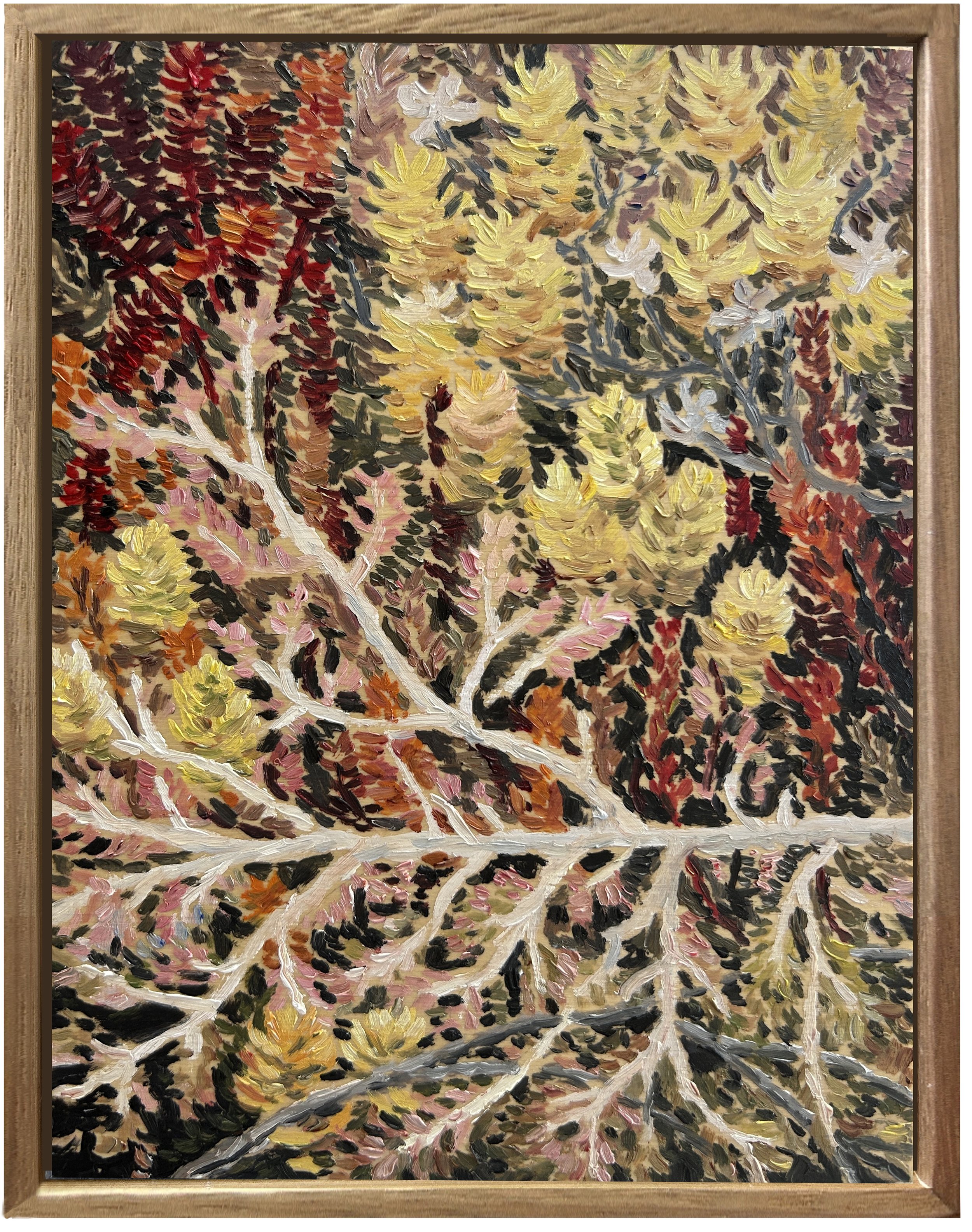   Wild Display Two 2025  Oil on Board 21×16cm  $600AUD Framed 