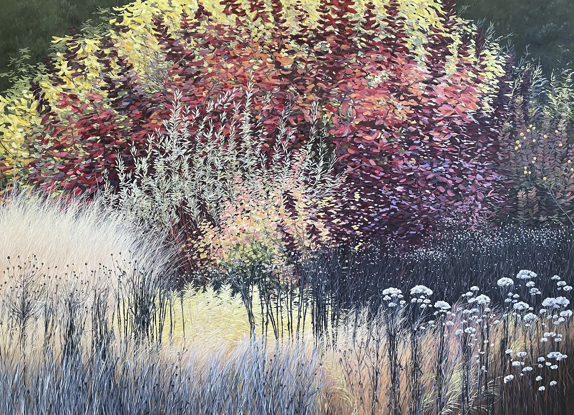   Peacocks Fan  Limited Edition Print 59×81cm $550AUD Plus postage 