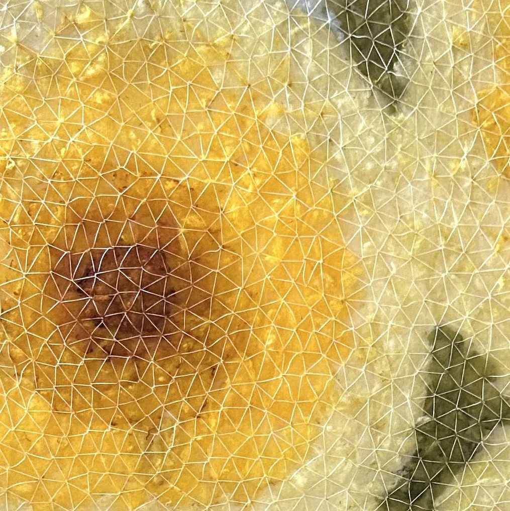 wattle.jpg