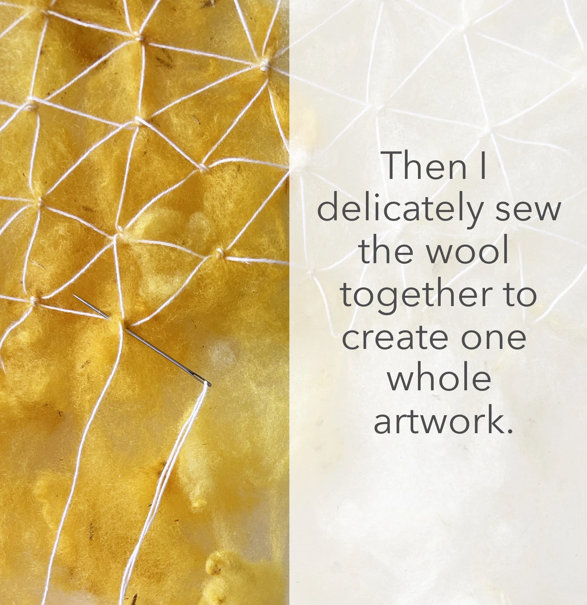 Sew.jpg