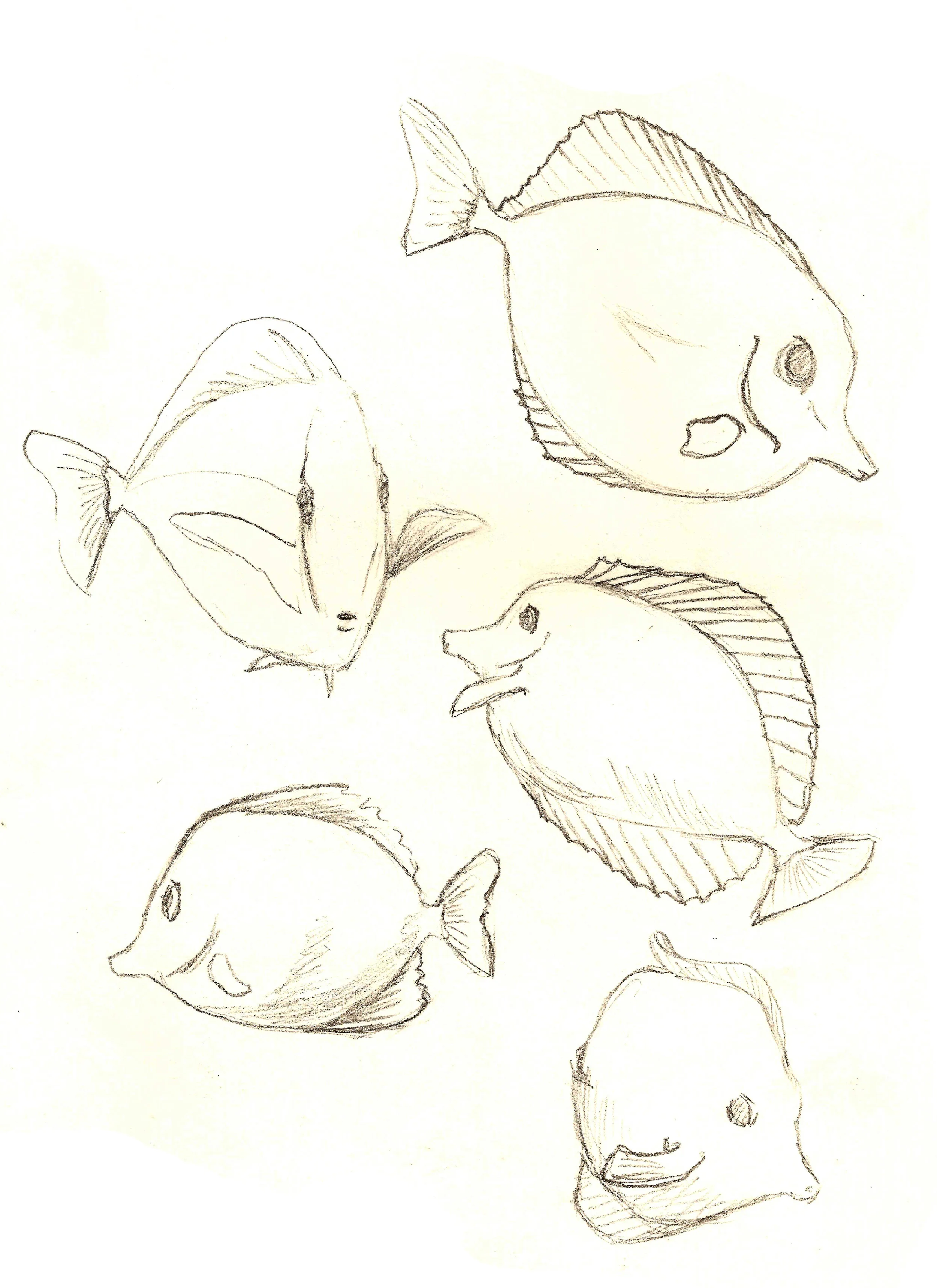FishD.jpg