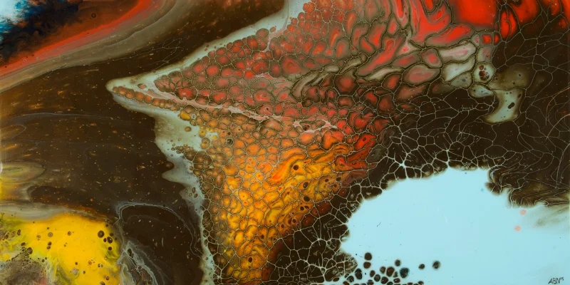 Body & Soul, 2015 (Copy)