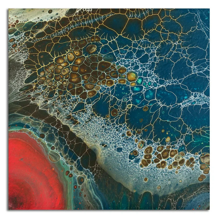 Nitya Siddha 5, 2015