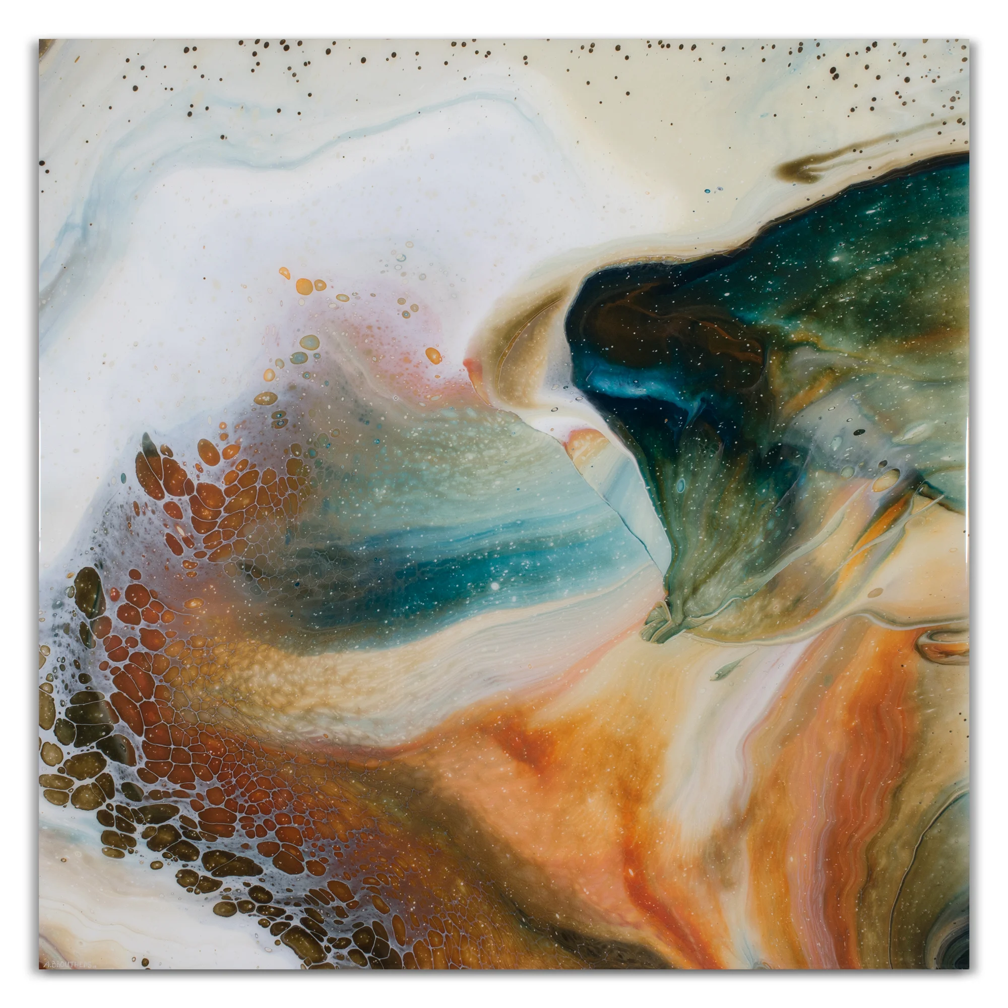 Anthropology 1, 2016 (Copy)