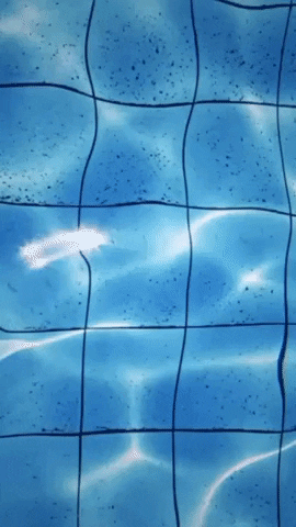 giphy (6).gif