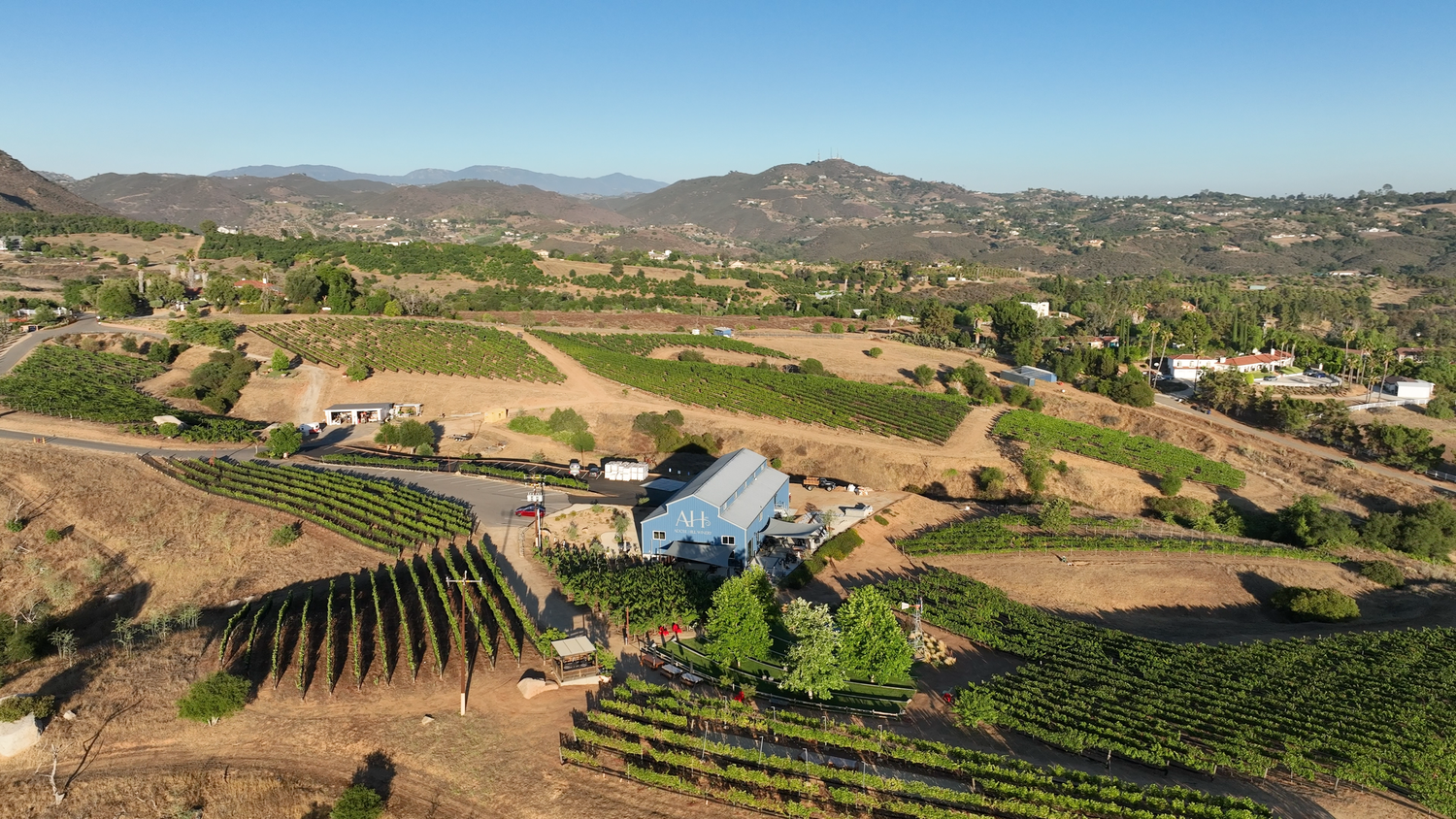 Aerial view of vineyards and surrounding hills